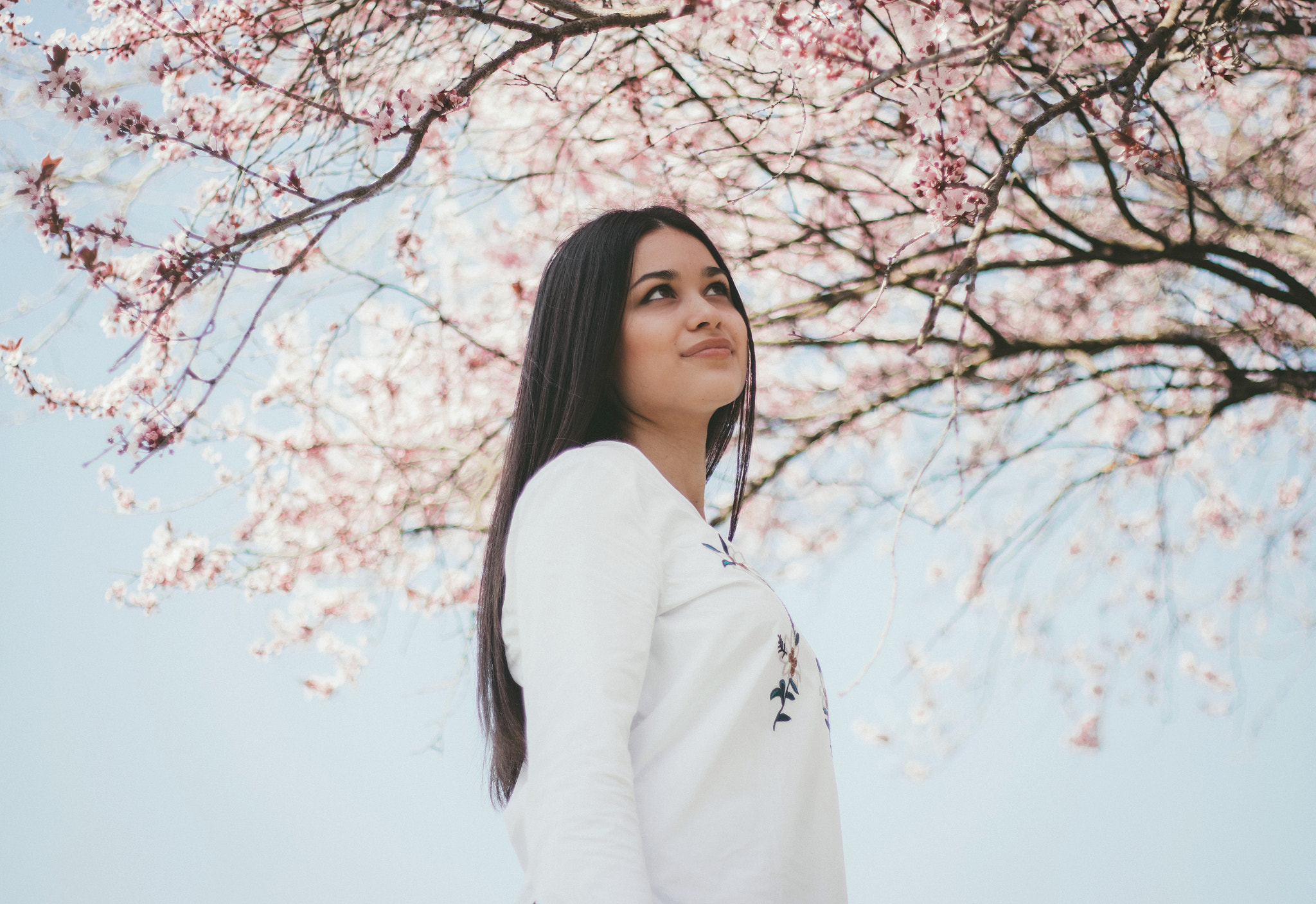 Canon EOS 80D + Canon EF 50mm F1.8 II sample photo. Pink atmosphere photography