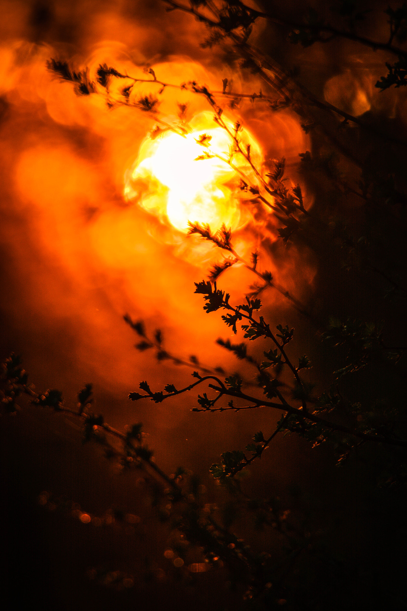 Nikon Nikkor AF-S 300mm F4E PF ED VR sample photo. Fireball photography