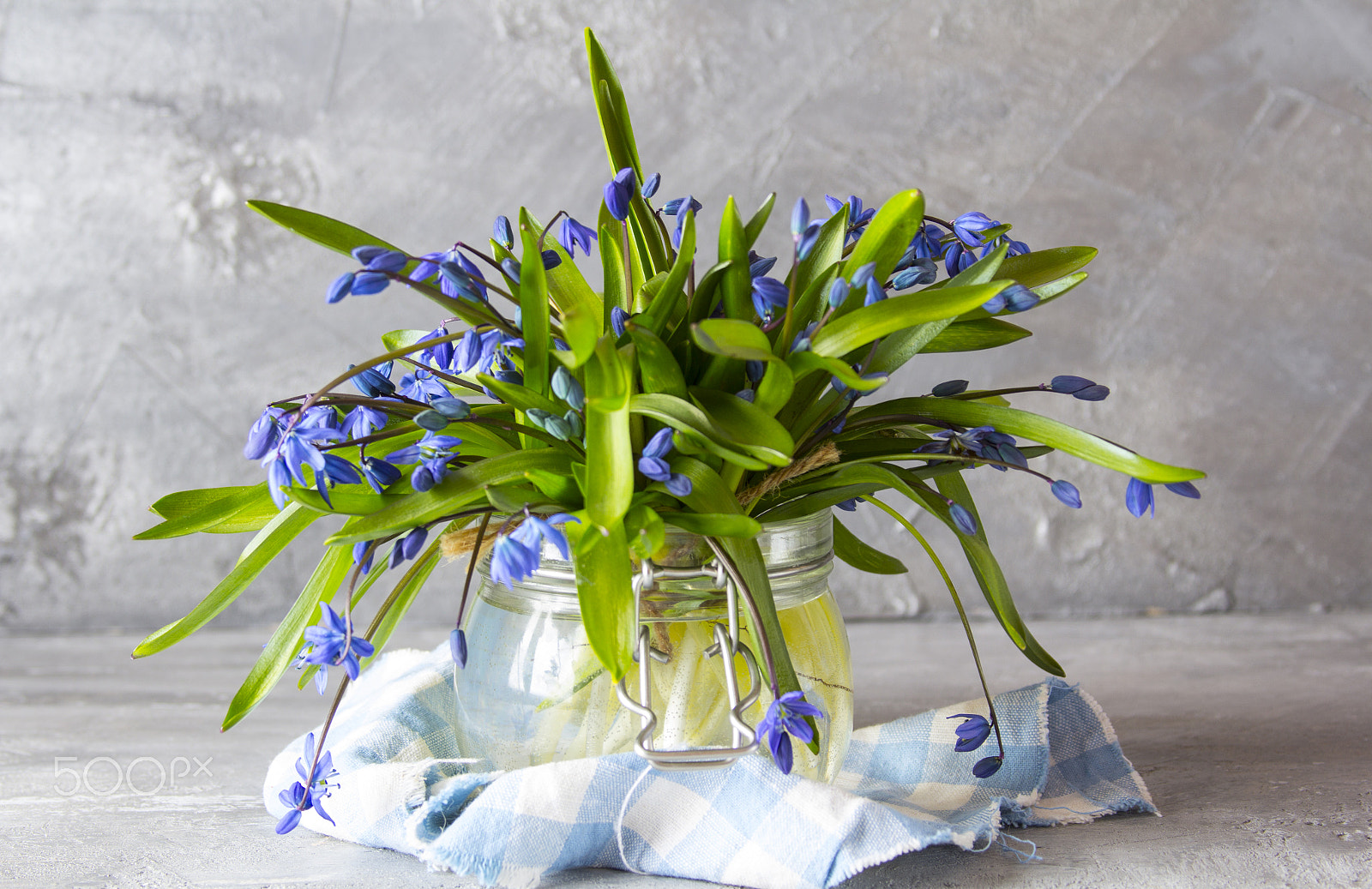 Canon EF 28-135mm F3.5-5.6 IS USM sample photo. Flowers spring photography
