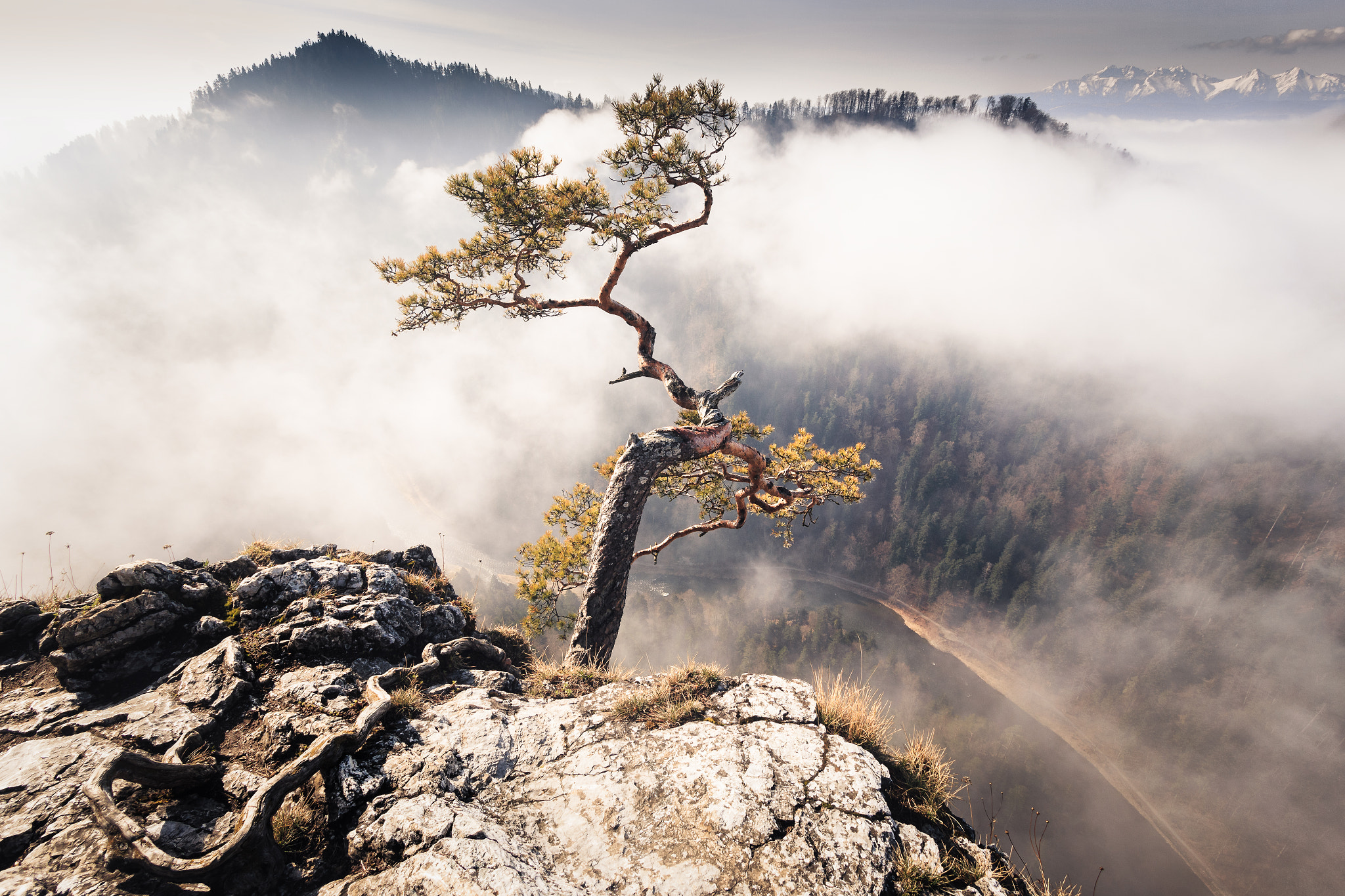 Canon EF-S 10-22mm F3.5-4.5 USM sample photo. Sokolica above the clouds photography