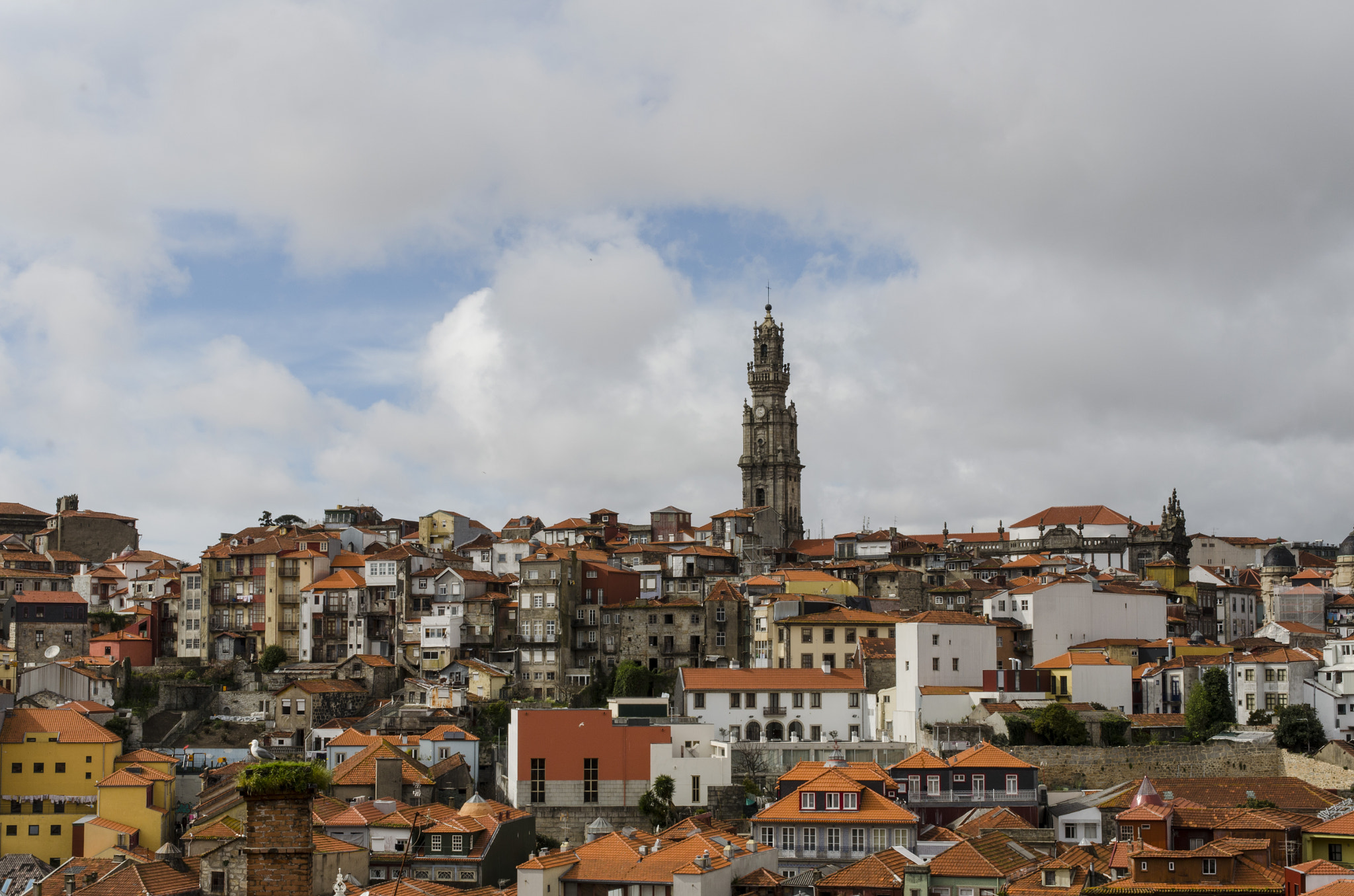 Nikon D5100 sample photo. Porto photography