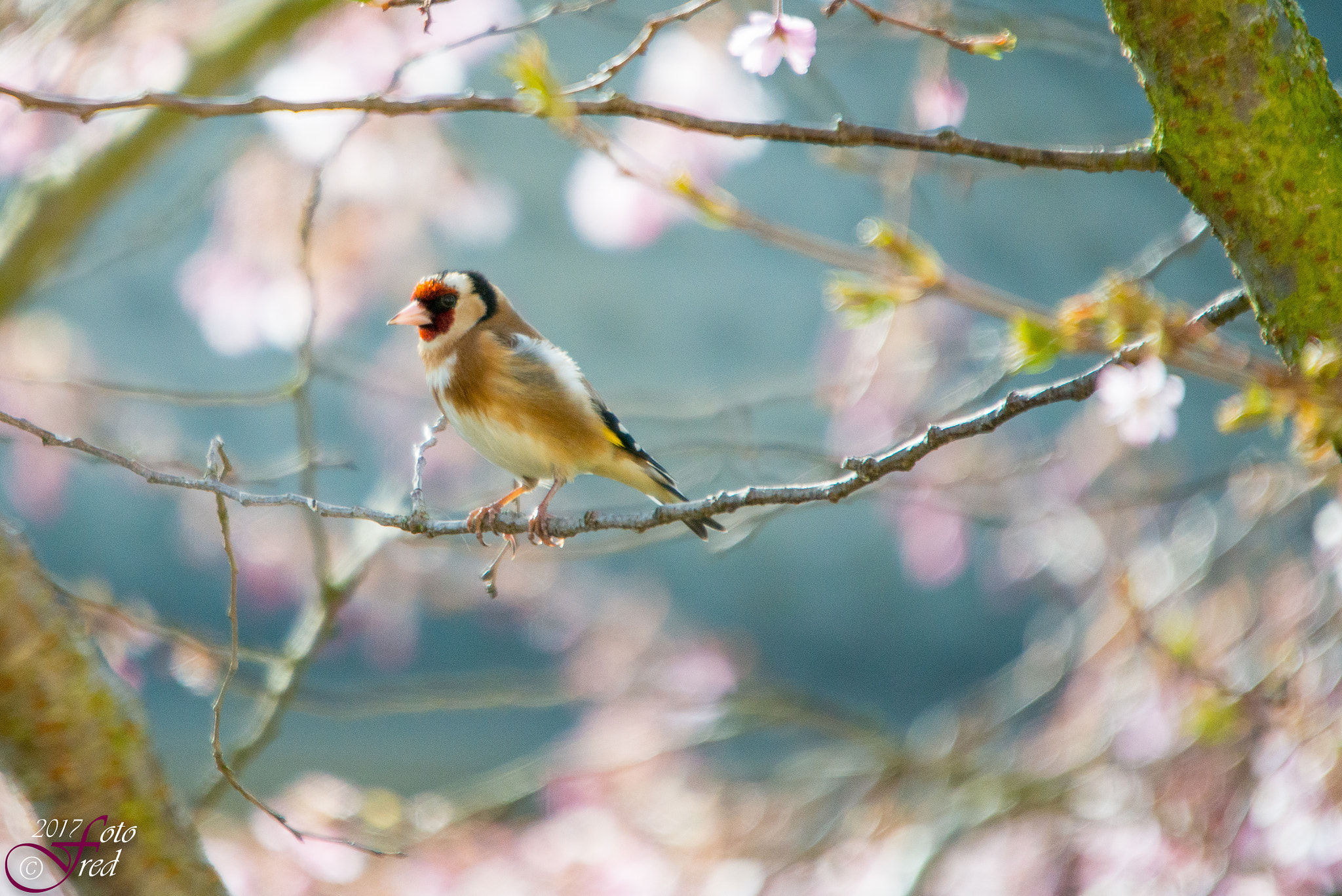Sigma 70-200mm F2.8 EX DG OS HSM sample photo. Relax photography