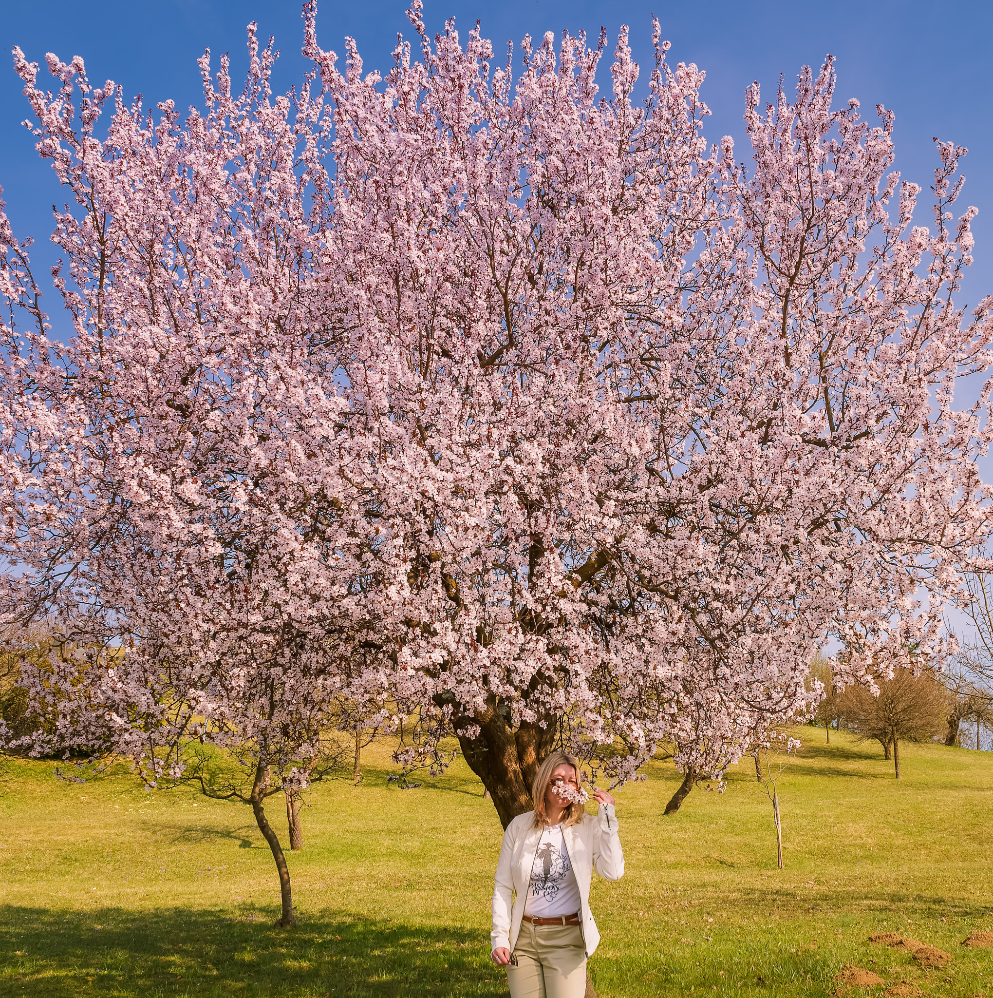 Canon EF 24mm F2.8 IS USM sample photo. Thousand flowers photography