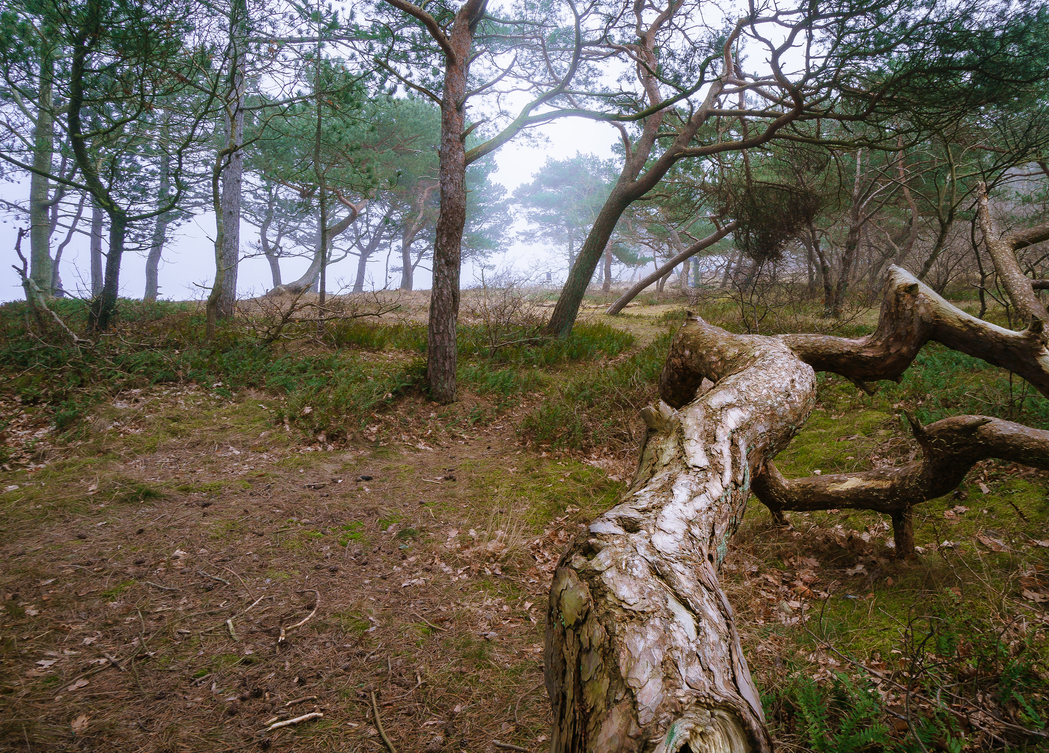 Sony a6300 + Sony E 10-18mm F4 OSS sample photo. Haze photography