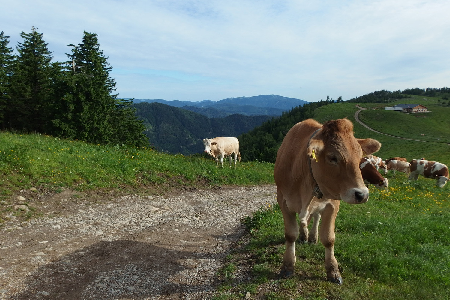 Olympus Stylus XZ-10 sample photo. Schneeberg in lower alps photography