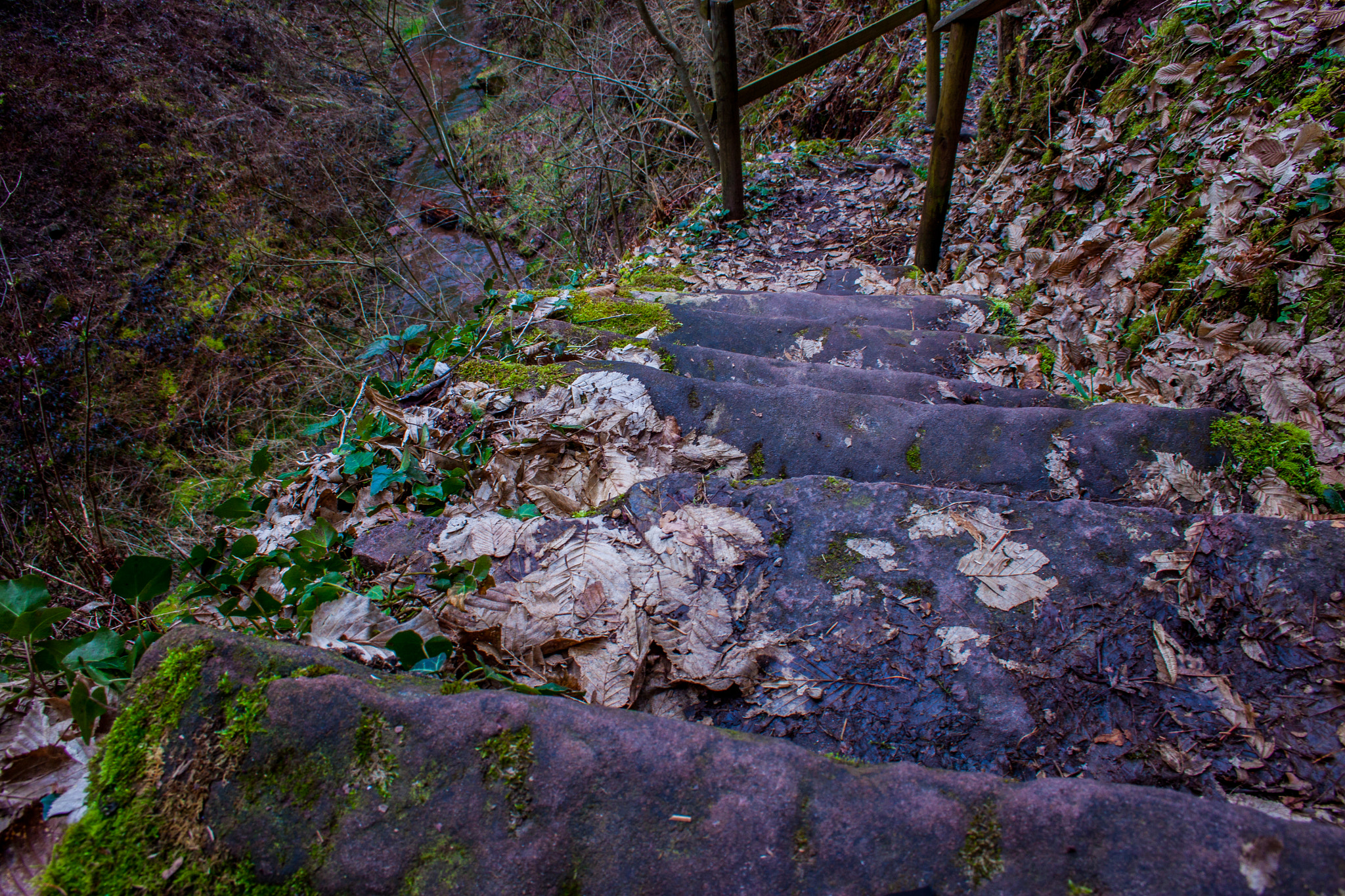 Canon EOS 500D (EOS Rebel T1i / EOS Kiss X3) sample photo. Stone stairs photography