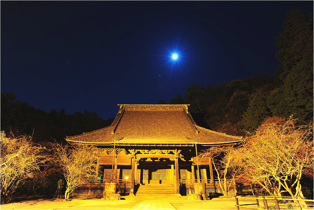 Nikon D700 + Sigma 20mm F1.8 EX DG Aspherical RF sample photo. Myohonn-ji@kamakura photography