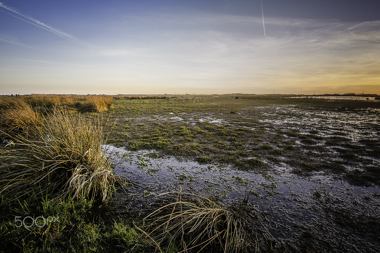 Olympus OM-D E-M10 sample photo. Wetlands de onlanden photography