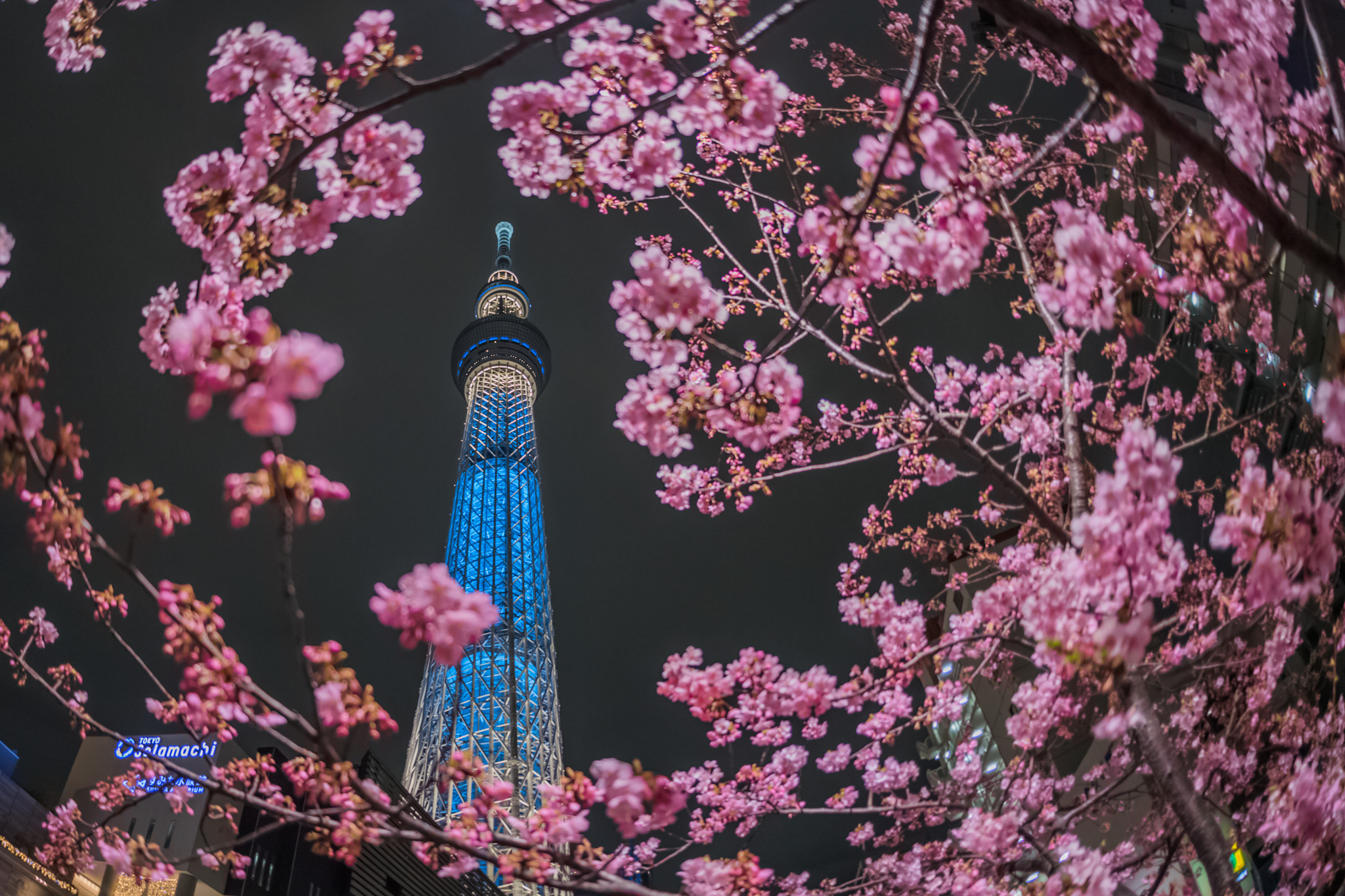 Nikon D5 + Sigma 15mm F2.8 EX DG Diagonal Fisheye sample photo. Skytree nikon version! photography