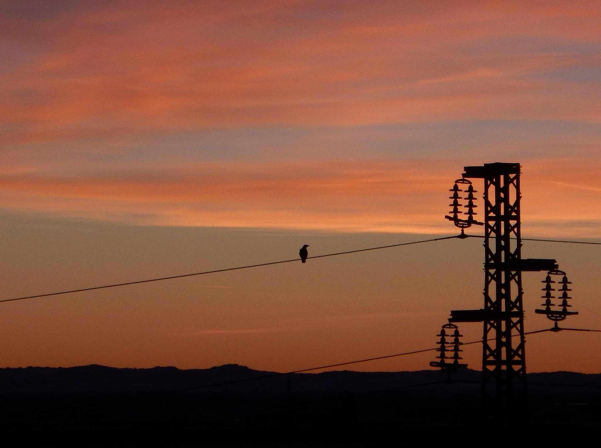 Nikon Coolpix AW130 sample photo. Bird watching the  sunrise photography