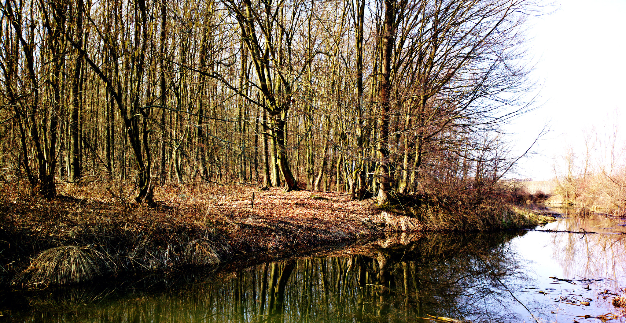Nokia 808 PureView sample photo. Sunny day... photography
