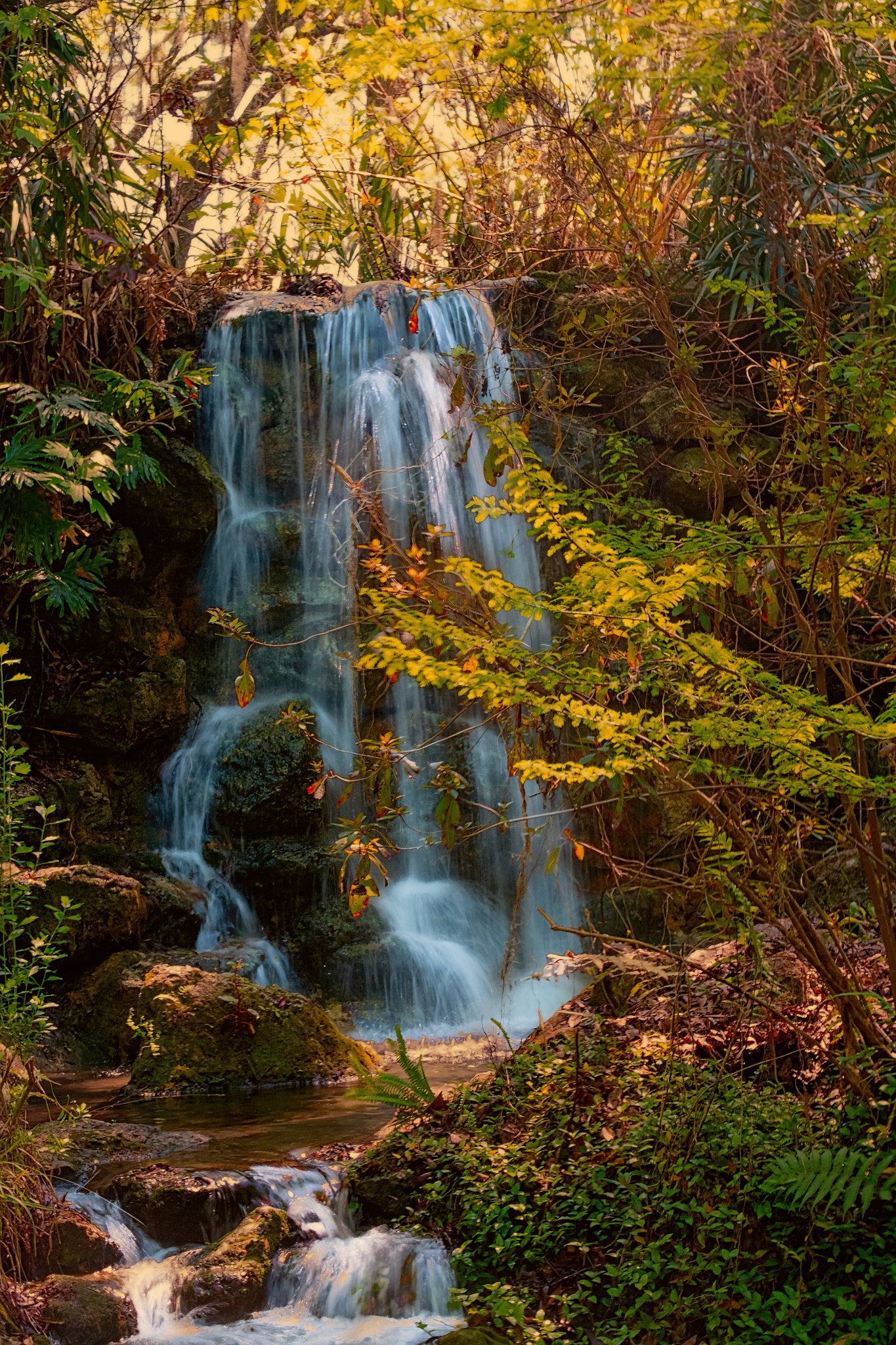 Fujifilm X-E1 sample photo. Rainbow springs waterfalls photography