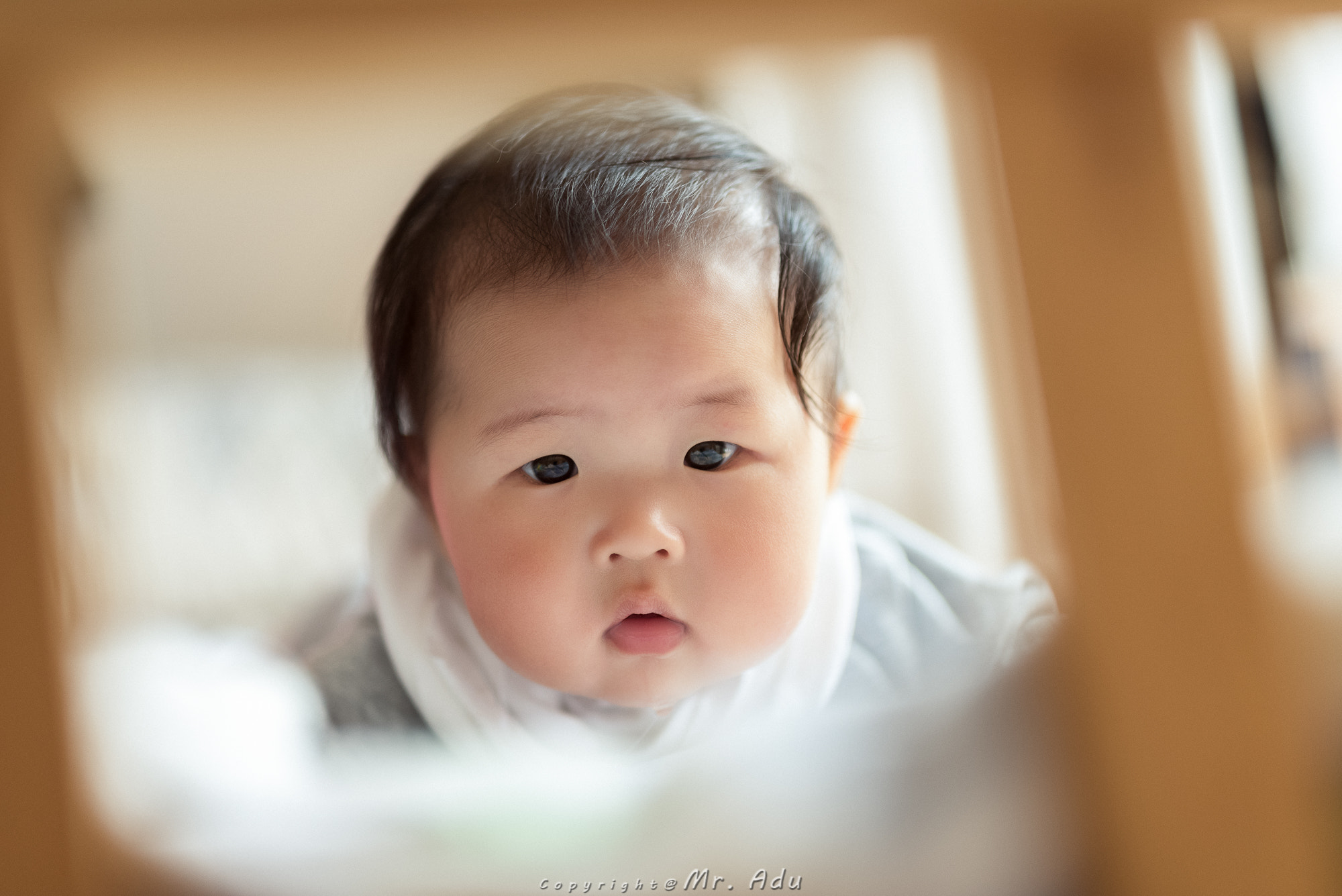 Sigma 50mm F1.4 DG HSM Art sample photo