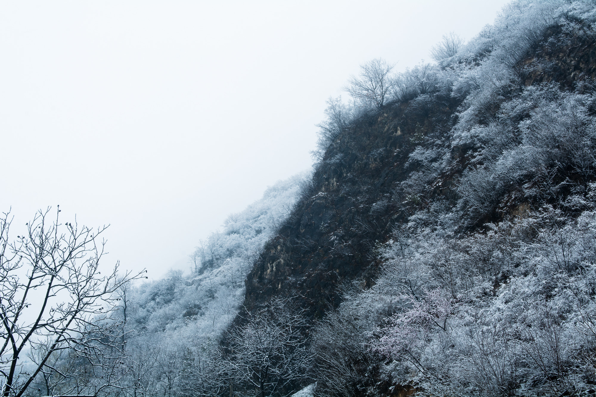Nikon D7100 sample photo. Spring snow photography