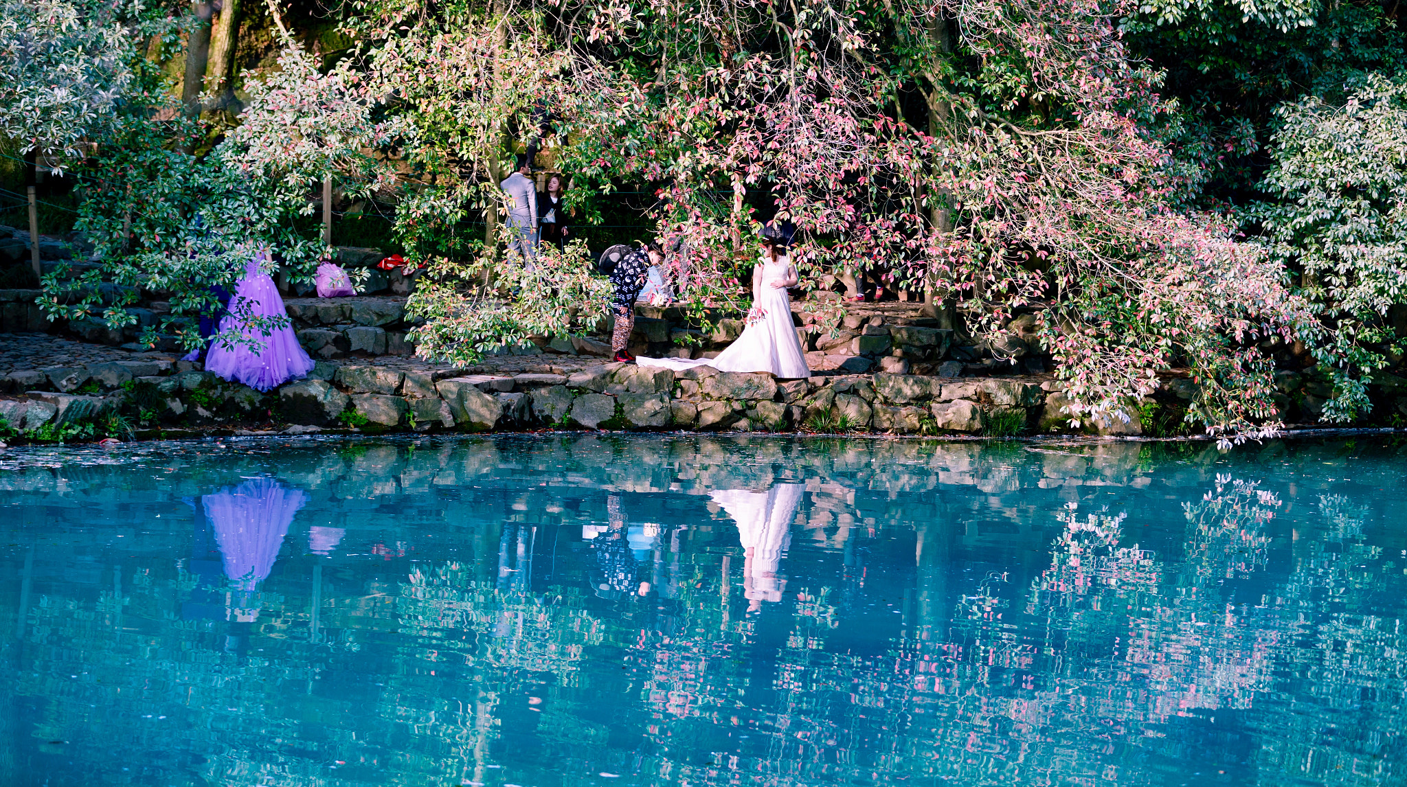 Canon EOS-1D X Mark II sample photo. 蓝色经典 photography