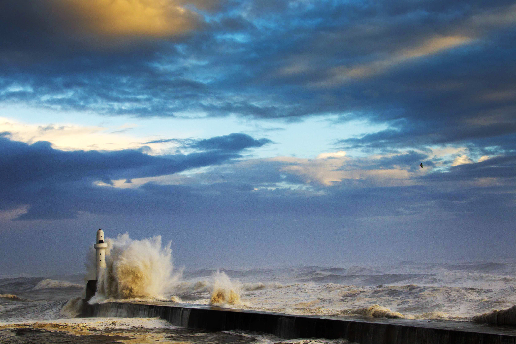 Canon EOS-1D Mark IV sample photo. The force of nature photography