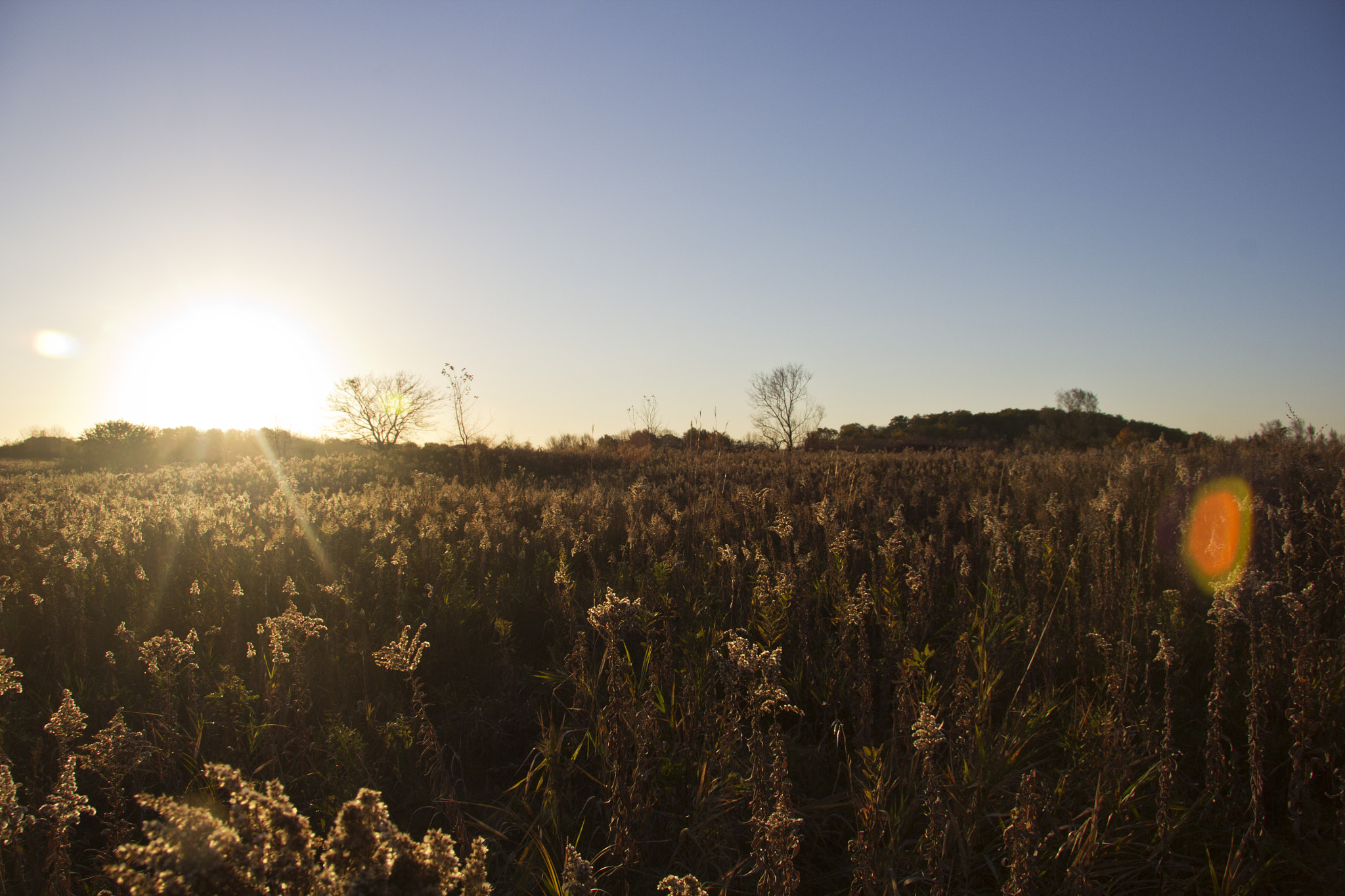 Canon EOS 60D + Canon EF-S 17-85mm F4-5.6 IS USM sample photo. Warmth photography