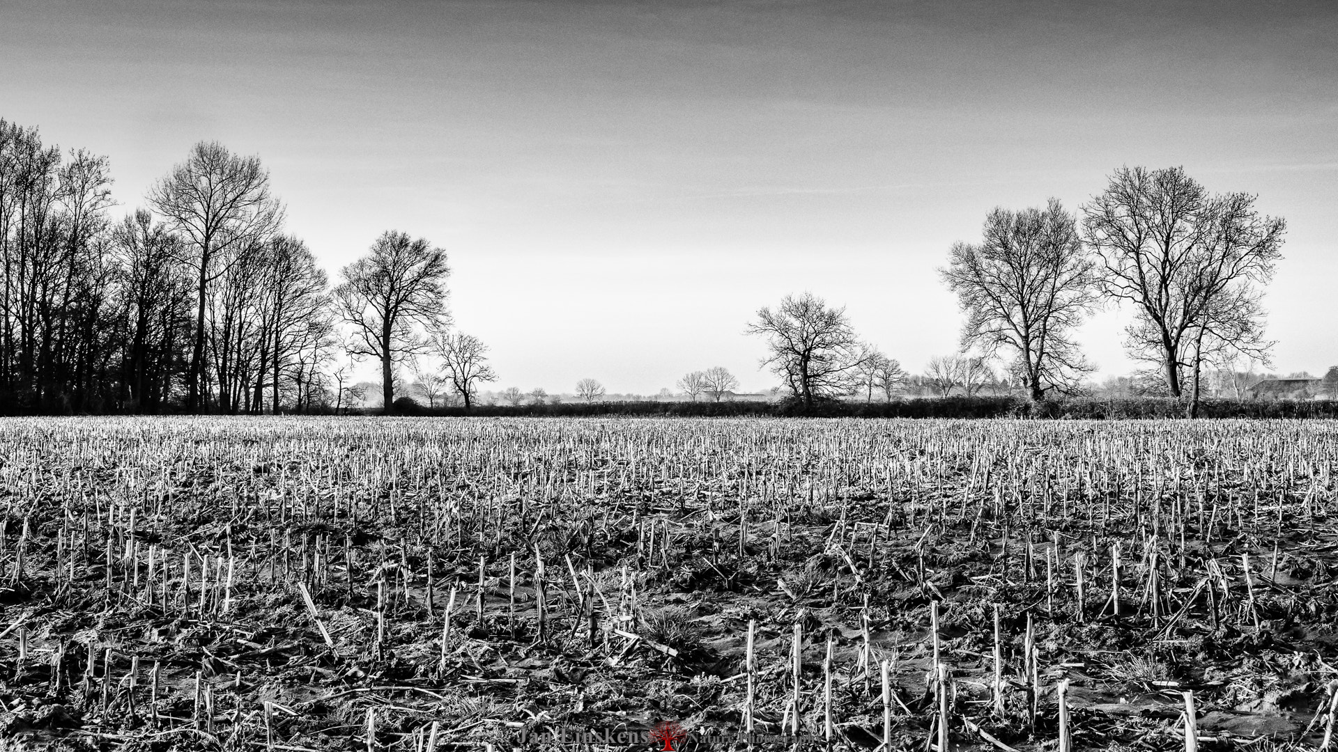 Sony SLT-A77 sample photo. Landscape photography