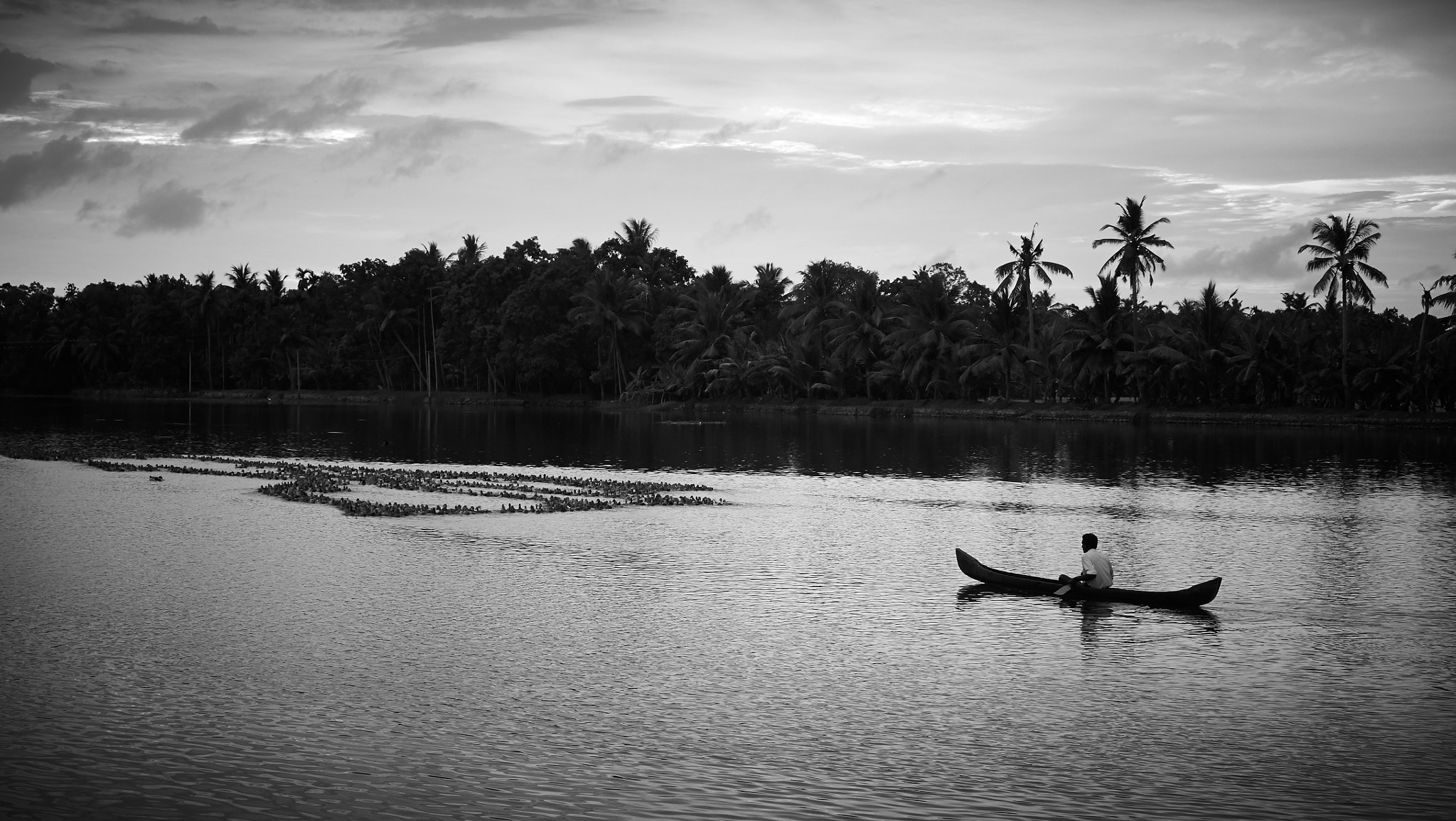 Panasonic Lumix G X Vario 12-35mm F2.8 ASPH Power OIS sample photo. Duck shepherd in kerala photography