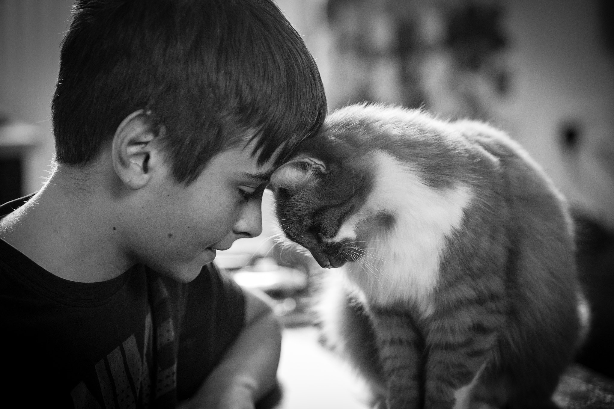 Canon EF 70-200mm F2.8L IS USM sample photo. The boy and the cat photography