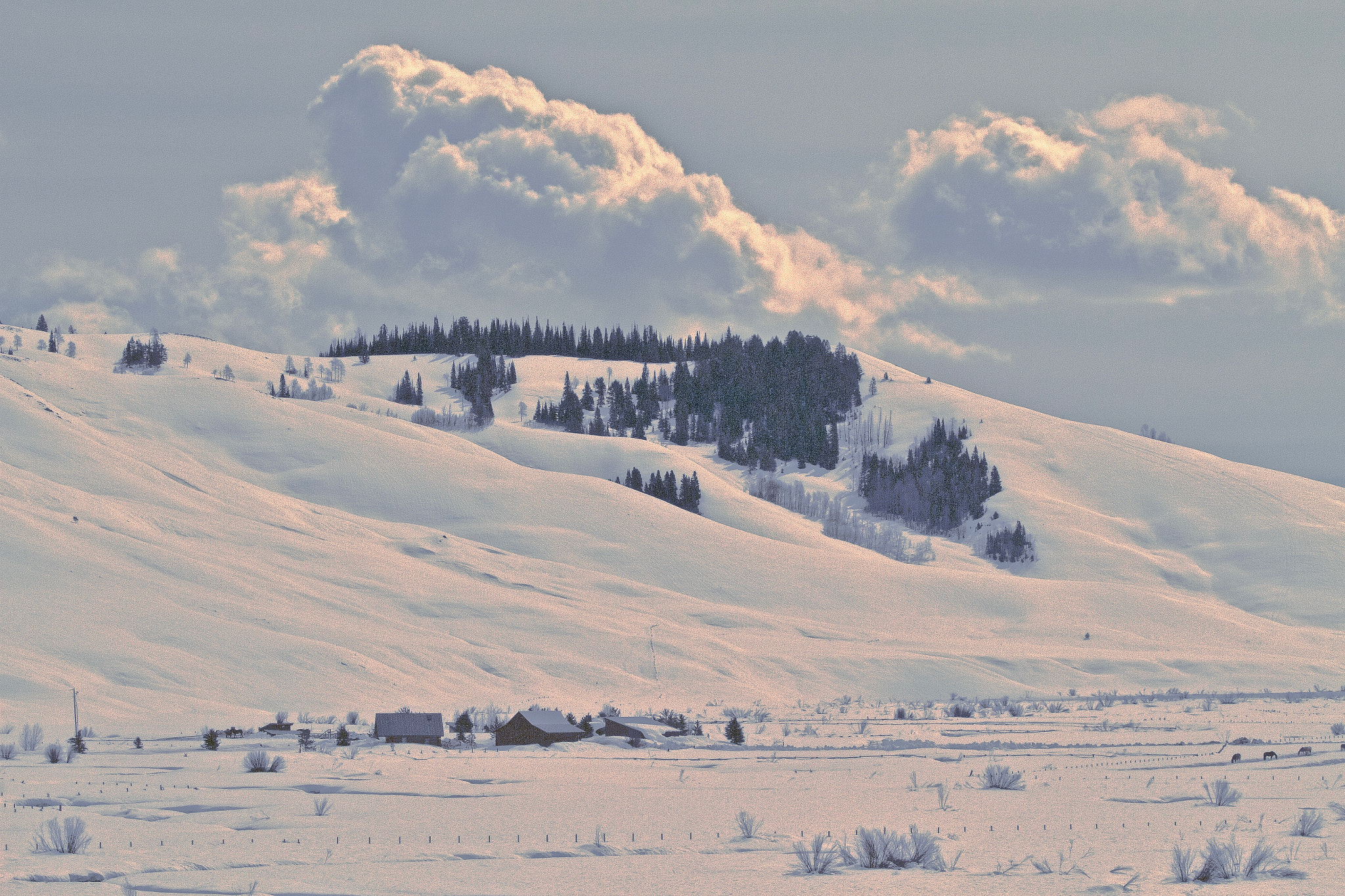 Canon EOS 7D sample photo. Pretty snowy photography