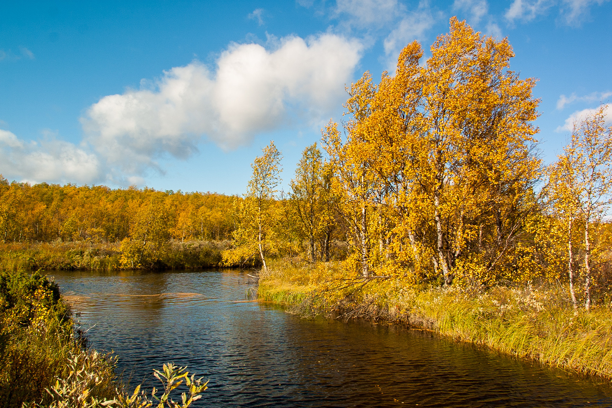 Canon EF 17-35mm f/2.8L sample photo. Autumn colors photography