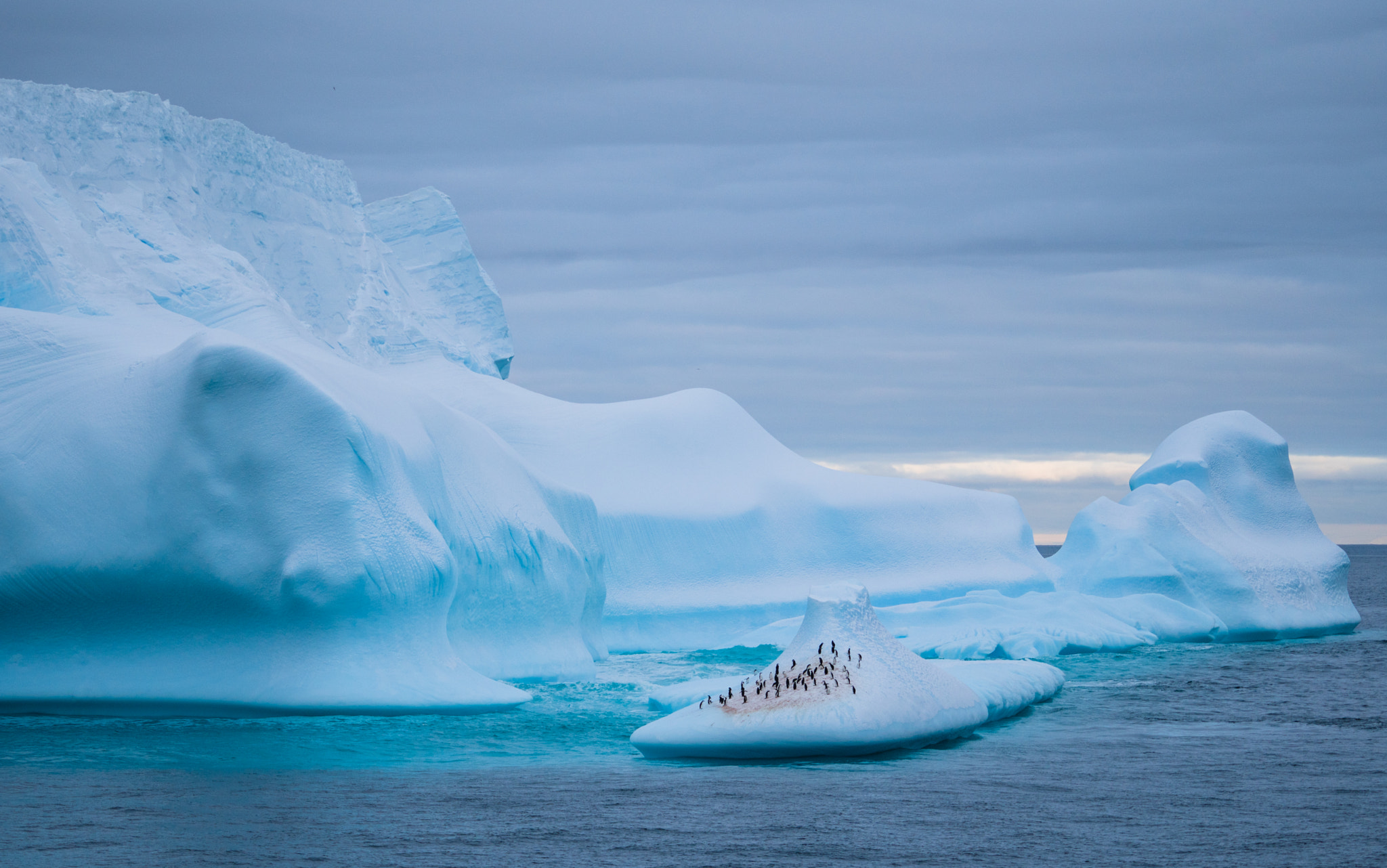 Sony a6300 + Sony FE 70-200mm F4 G OSS sample photo. Odyssey of antarctica photography