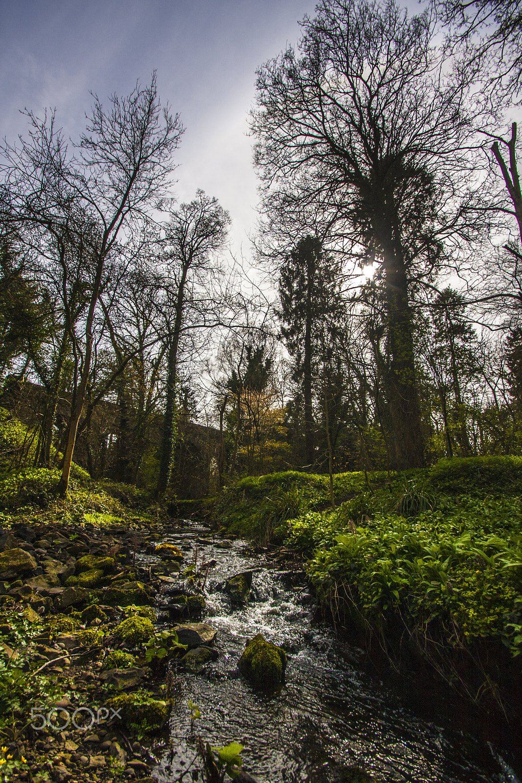 Sigma 10-20mm F3.5 EX DC HSM sample photo. Grace dieu priory photography