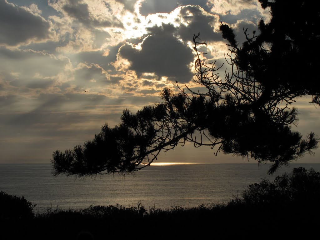 Canon PowerShot SX120 IS sample photo. Sunset, coast photography