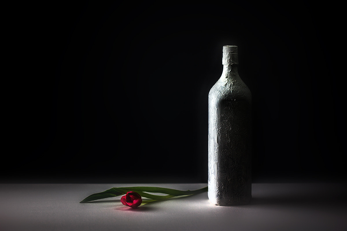 Canon EF 100mm F2.8 Macro USM sample photo. Red tulip photography