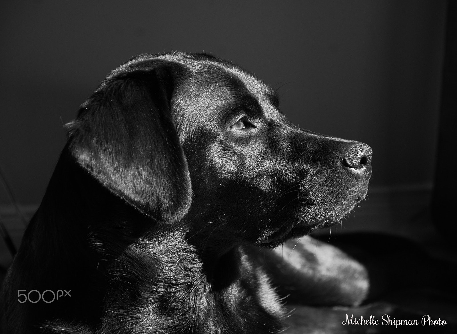 Nikon D40X sample photo. Quiet bella photography