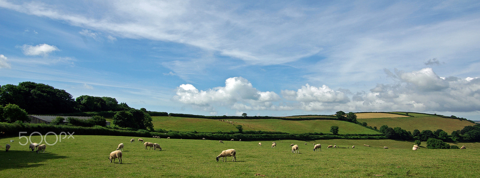 Pentax smc DA 16-45mm F4 ED AL sample photo. In the country photography