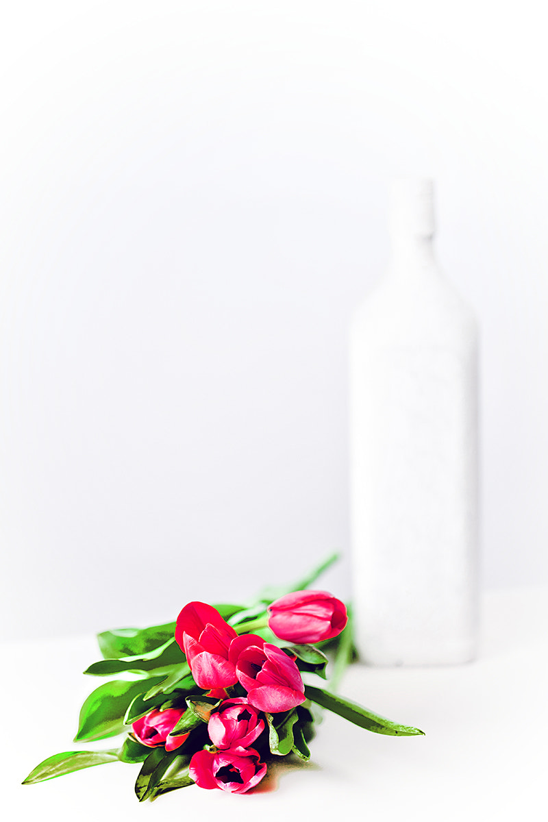 Canon EF 100mm F2.8 Macro USM sample photo. Red tulips photography