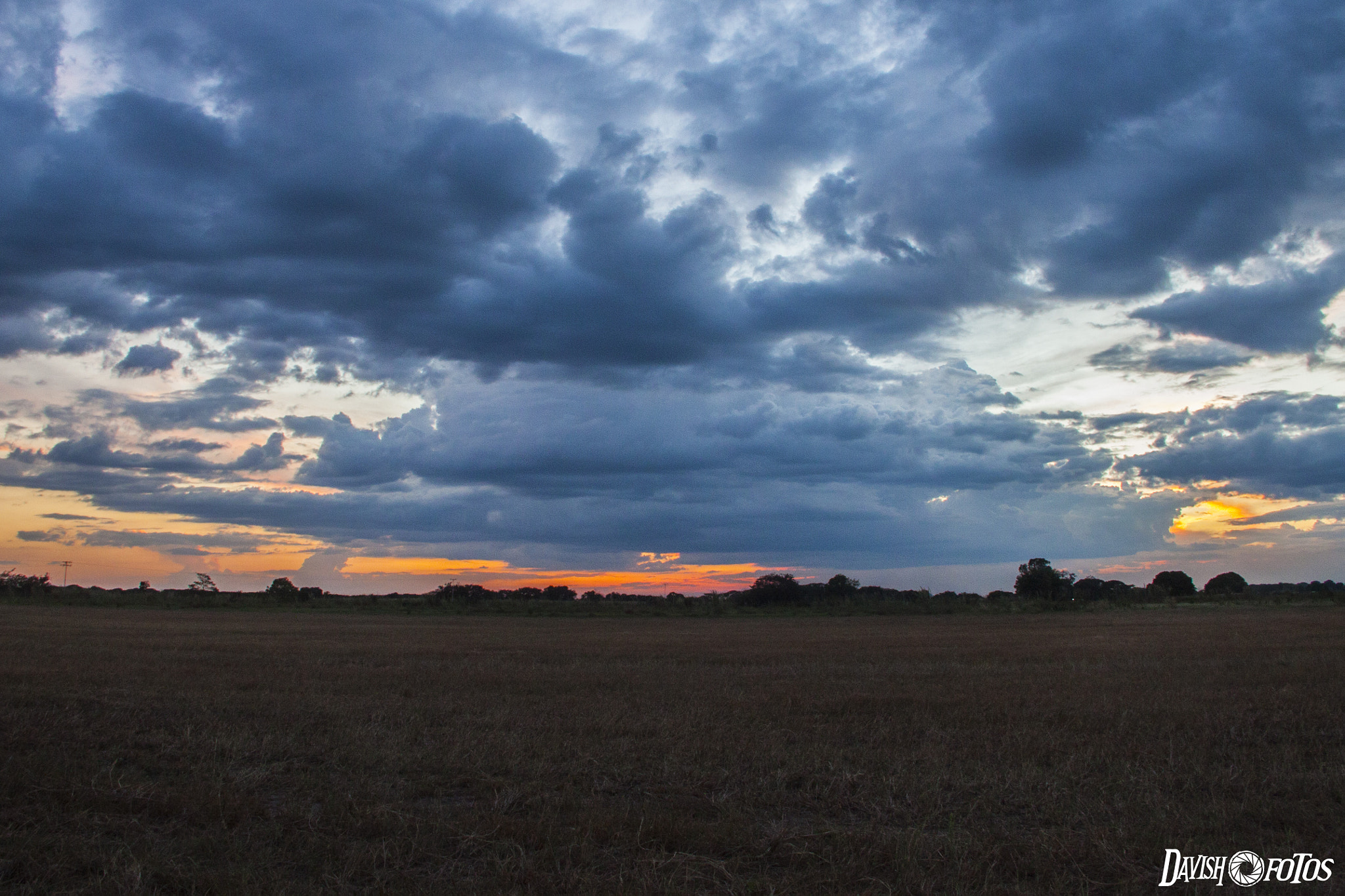 Canon EOS 50D + Canon EF-S 18-135mm F3.5-5.6 IS sample photo. Img photography