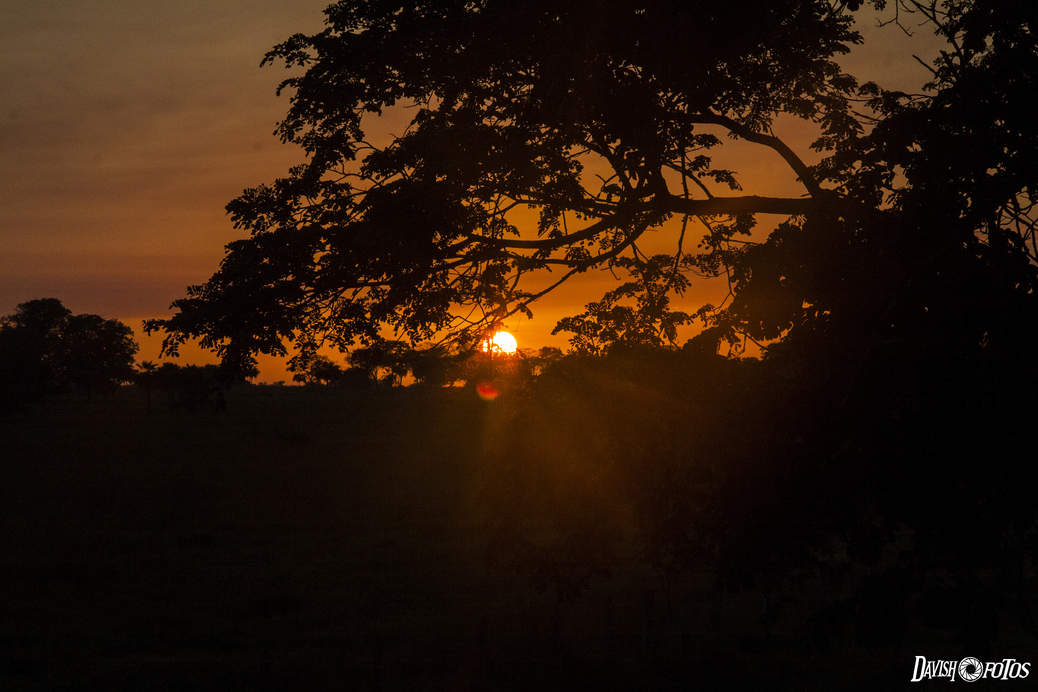 Canon EOS 50D + Canon EF-S 18-135mm F3.5-5.6 IS sample photo. Img photography