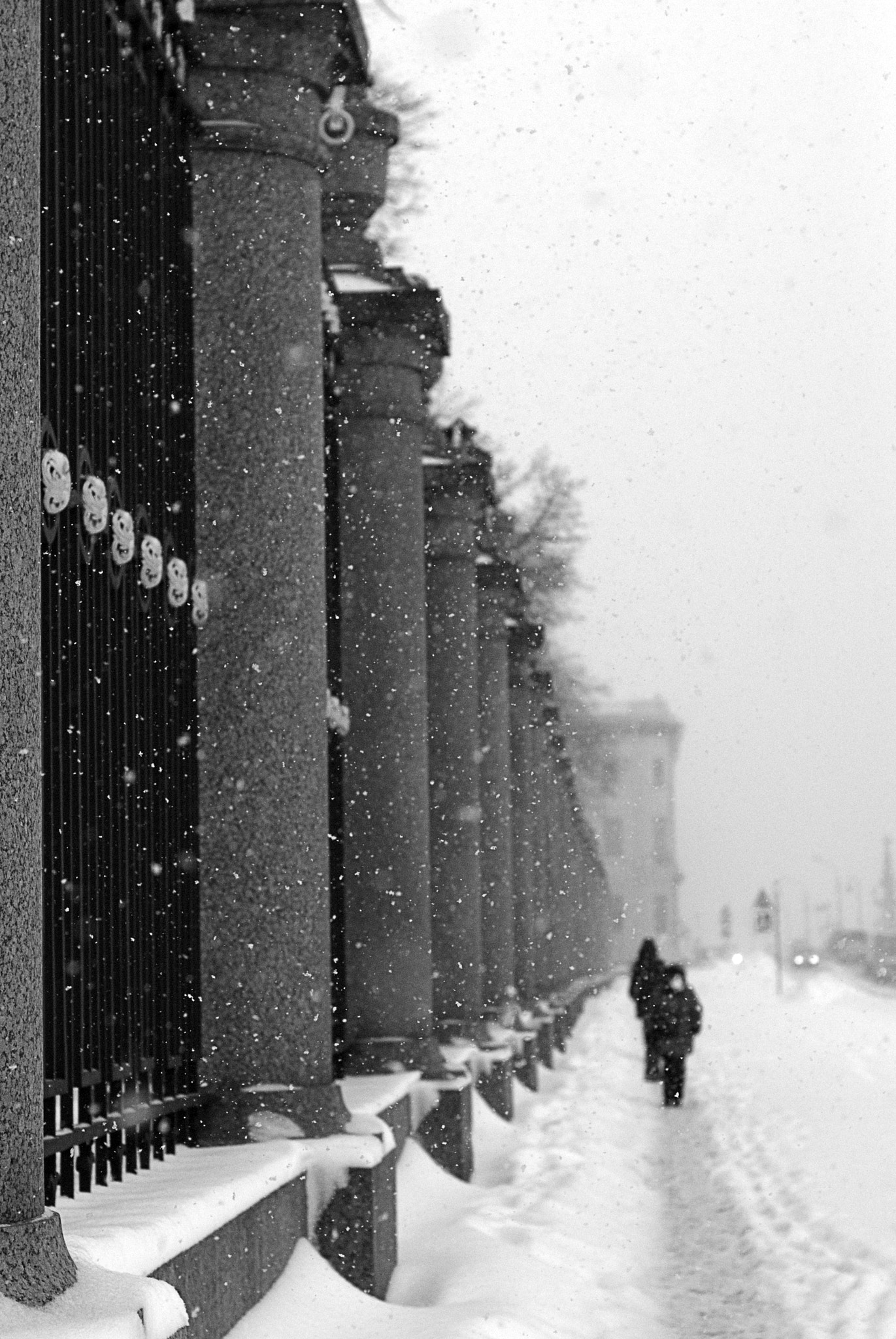 Nikon D80 sample photo. Snowfall photography