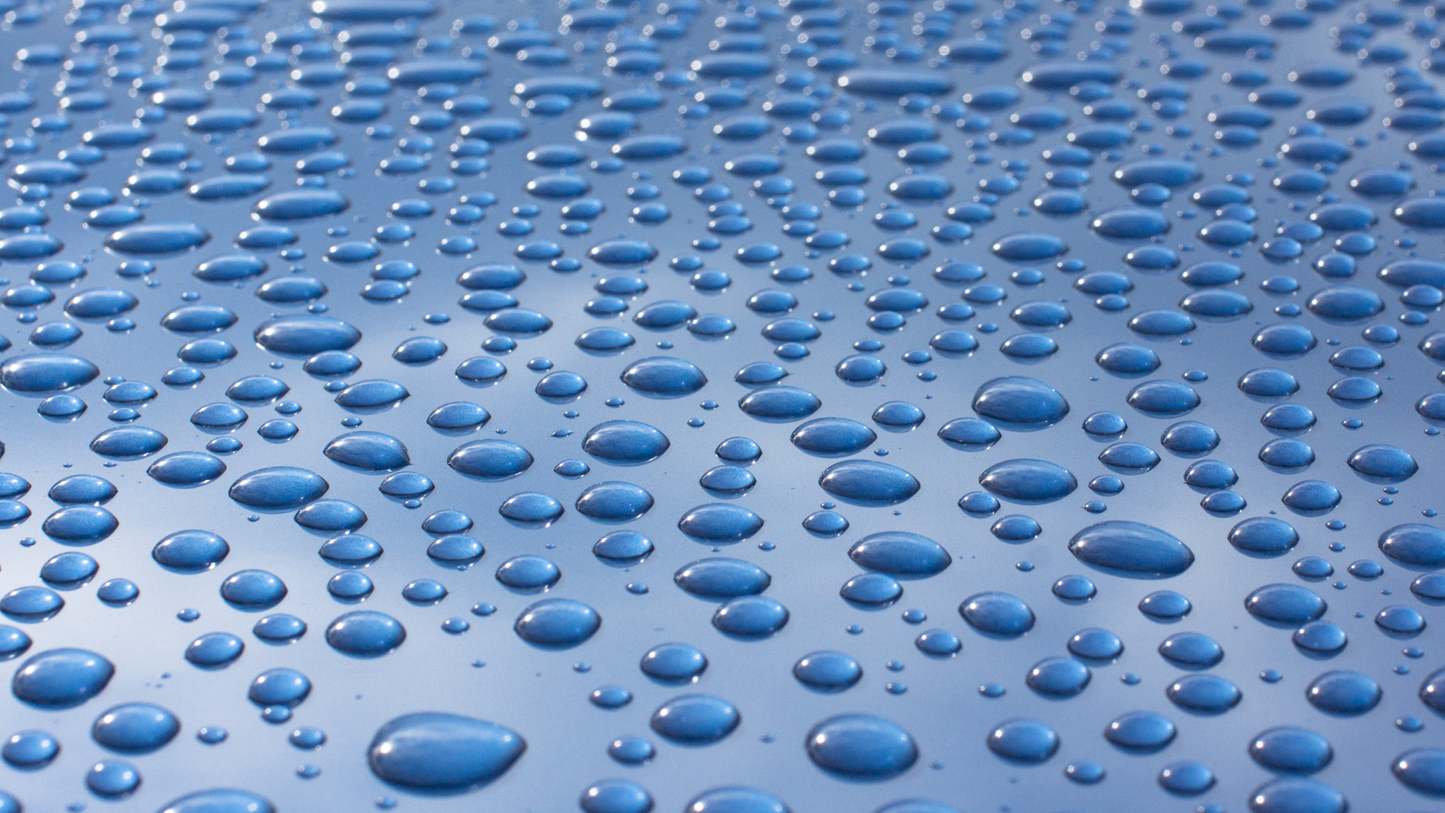 Sigma 50mm F1.4 EX DG HSM sample photo. Magic of rain drops photography