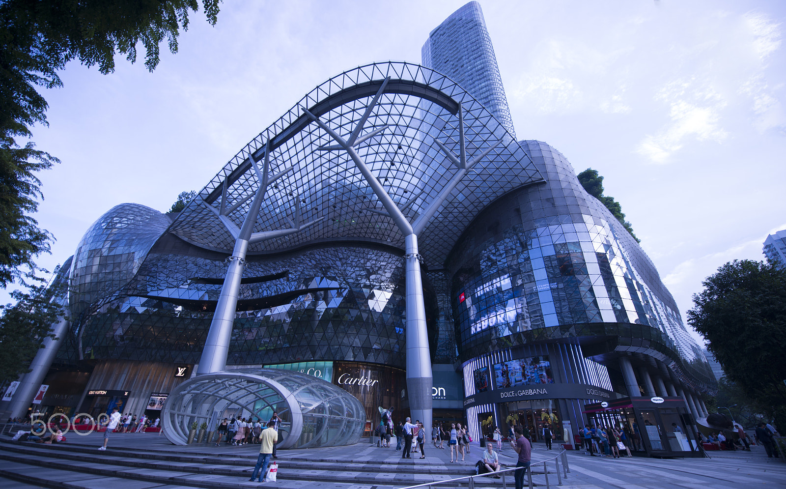Nikon AF-S Nikkor 14-24mm F2.8G ED sample photo. Ion mall orchard photography