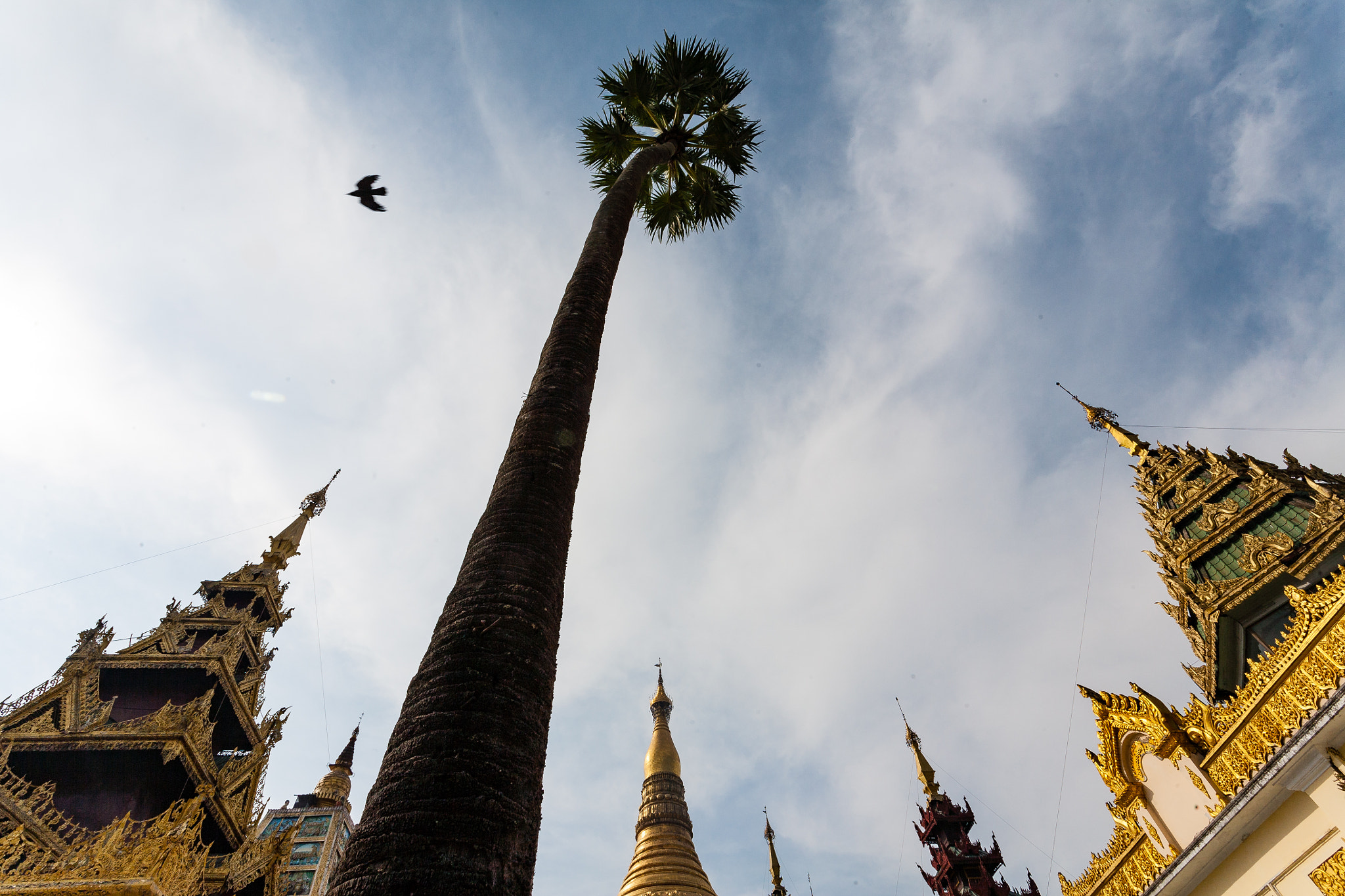 Canon EOS 5D + Canon EF 17-40mm F4L USM sample photo. Shwedagon pagoda photography