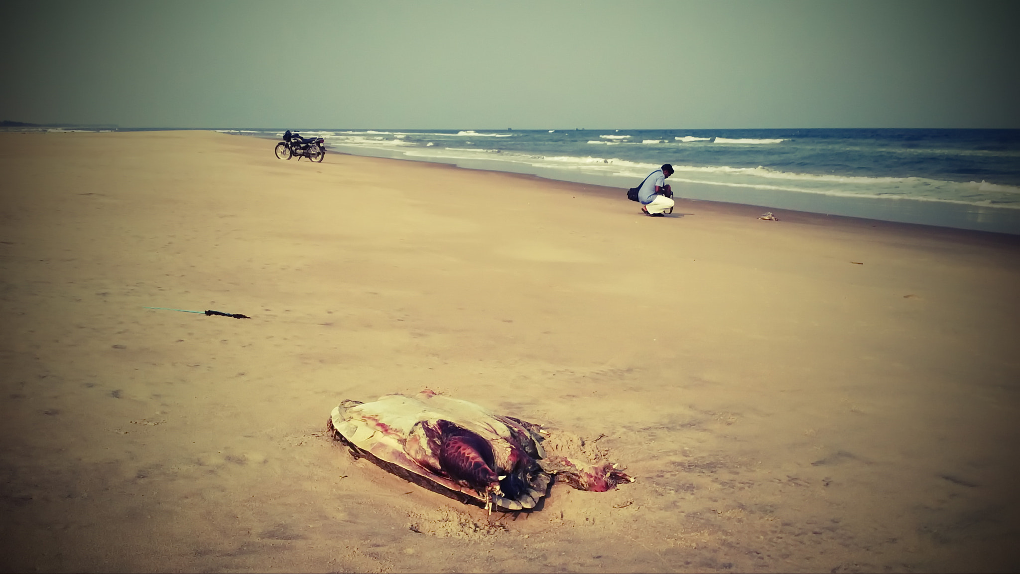 BlackBerry Z10 sample photo. Ecr pondichery photography