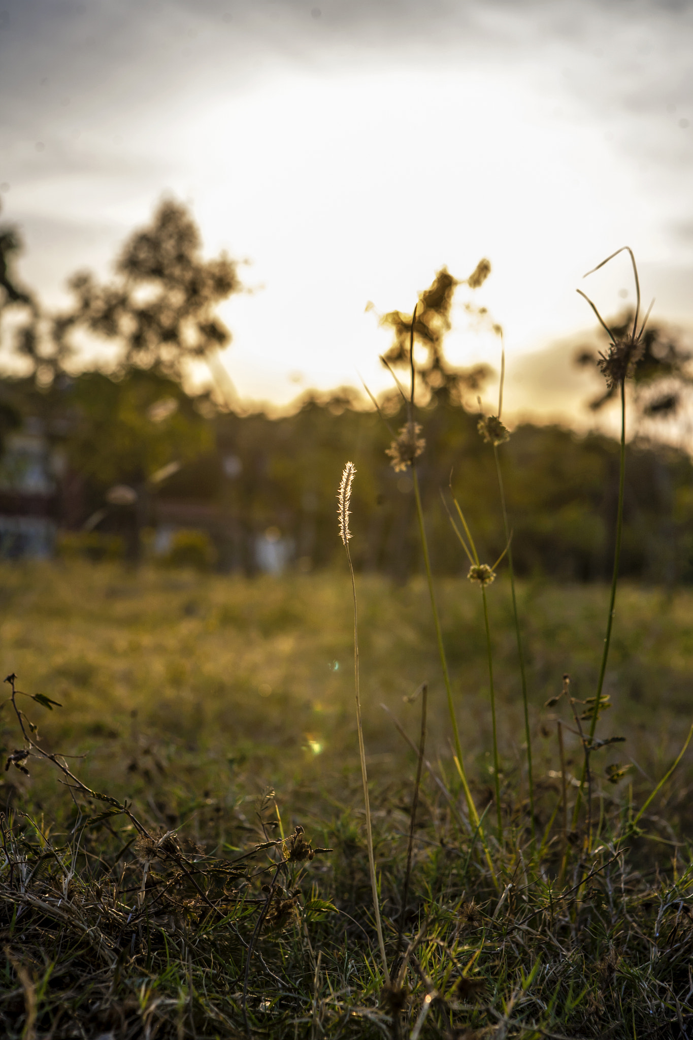 Canon EOS 5D sample photo. Alone photography