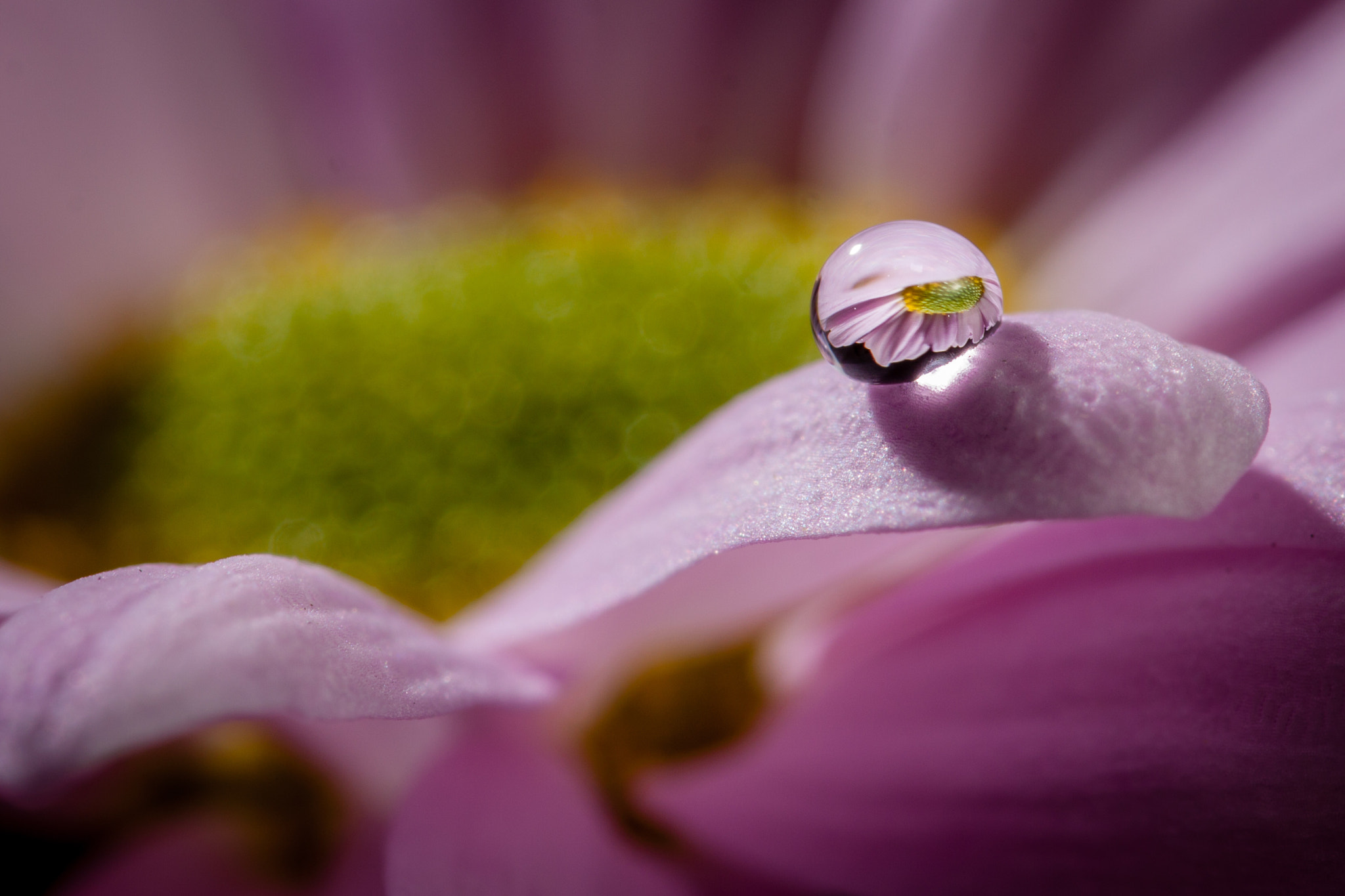 Sigma 105mm F2.8 EX DG OS HSM sample photo. Waterdrop photography