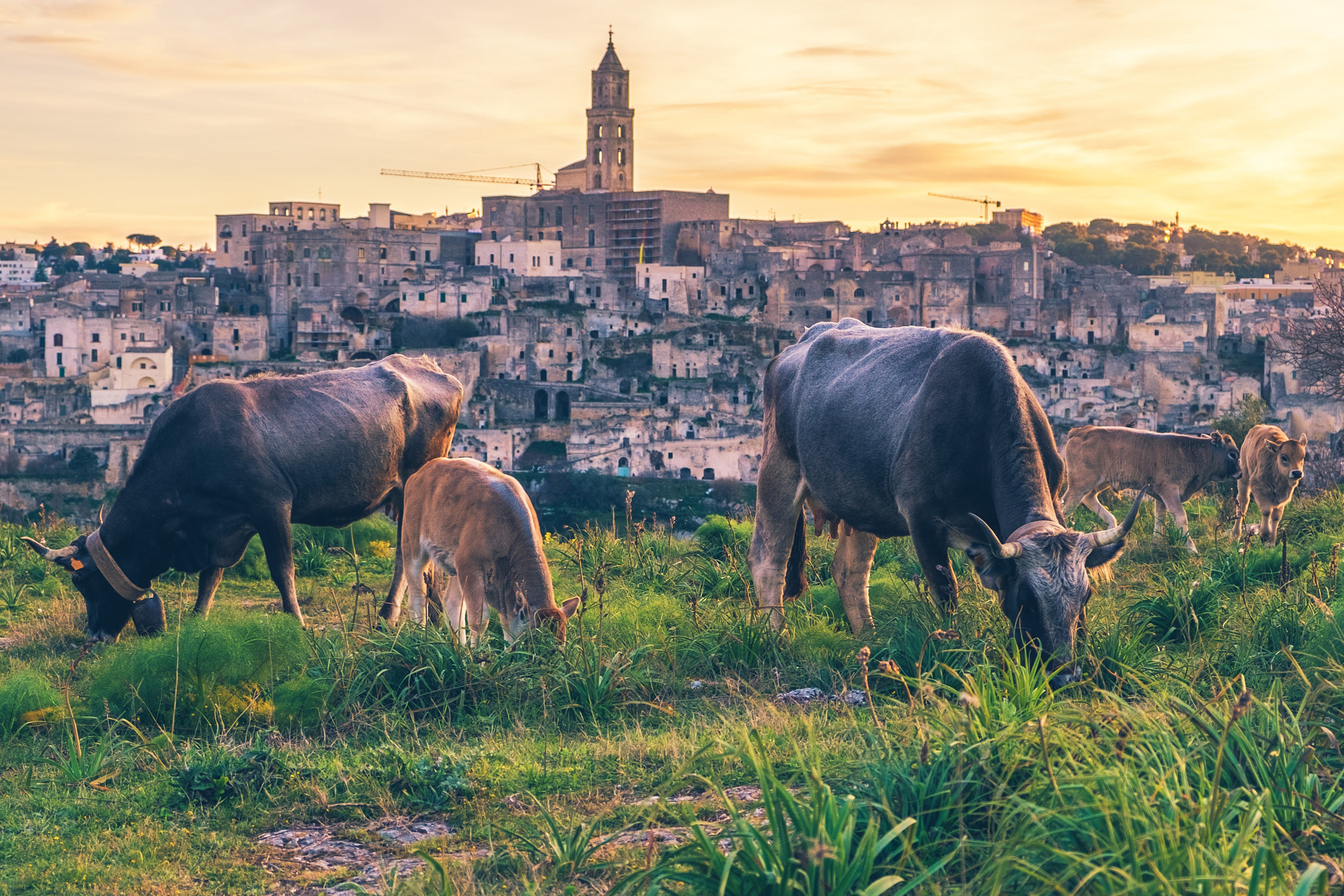 Fujifilm X-E1 + Fujifilm XF 18-55mm F2.8-4 R LM OIS sample photo. Sunset over matera photography