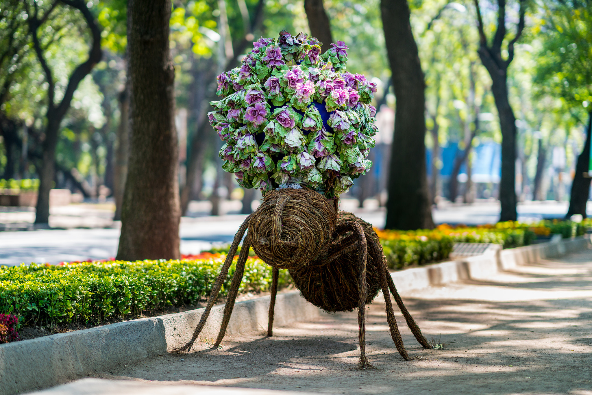 Sony FE 85mm F1.4 GM sample photo. Big ants in ave reforma photography