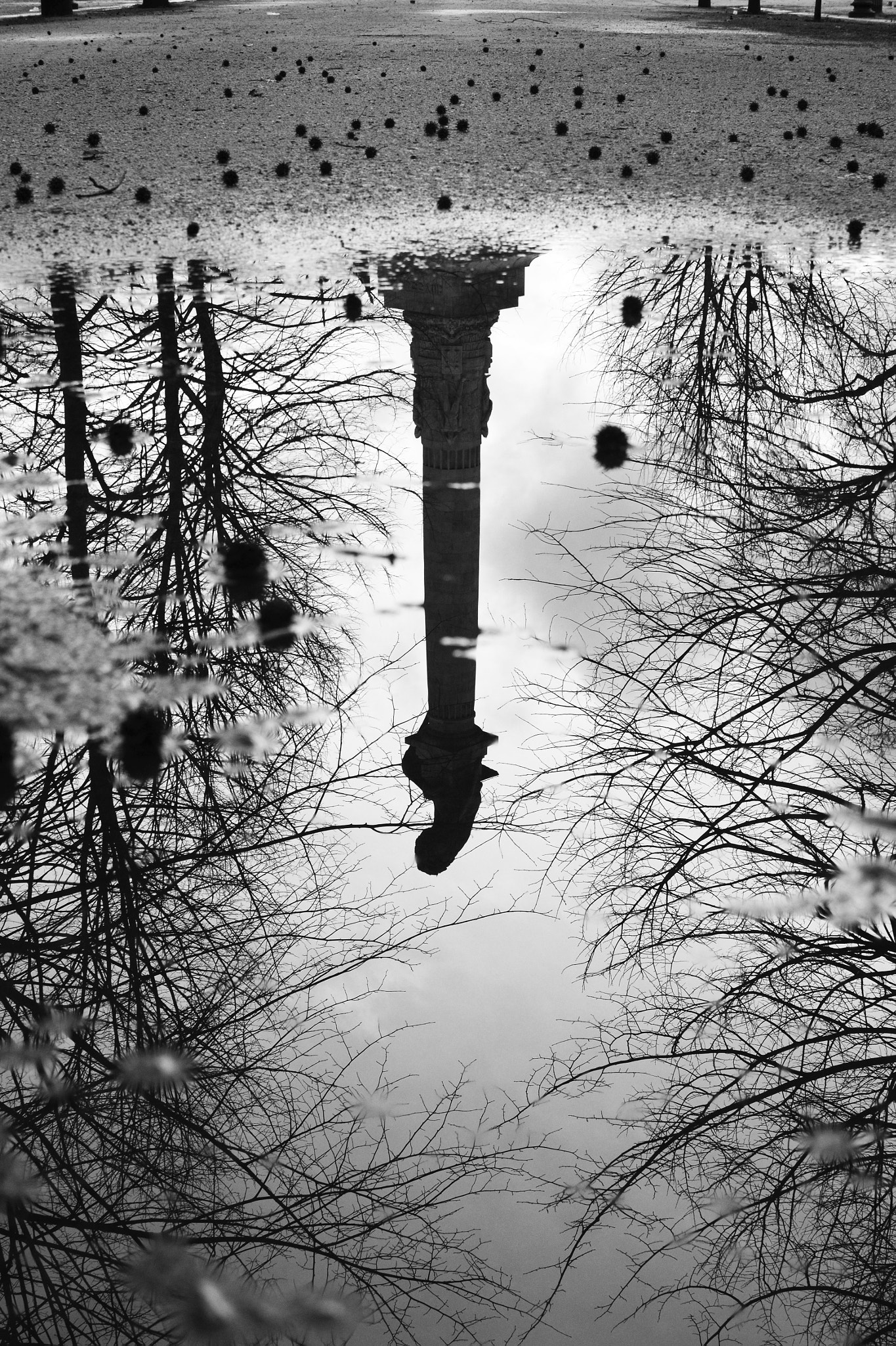 FSA-L2, EDG 65, 800mm F13 G sample photo. Winter is coming photography