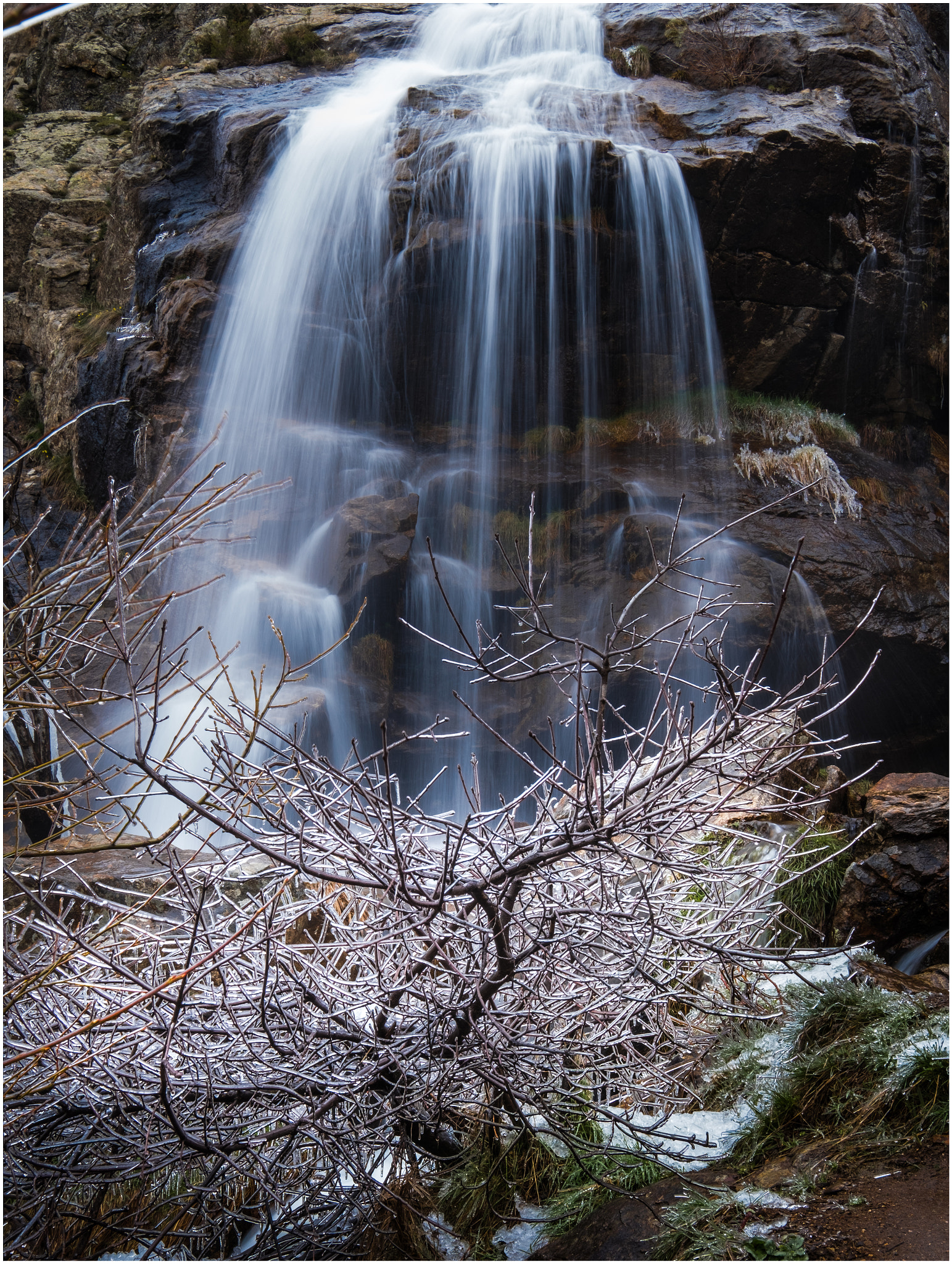Fujifilm X-Pro2 sample photo. Tree and waterfall photography