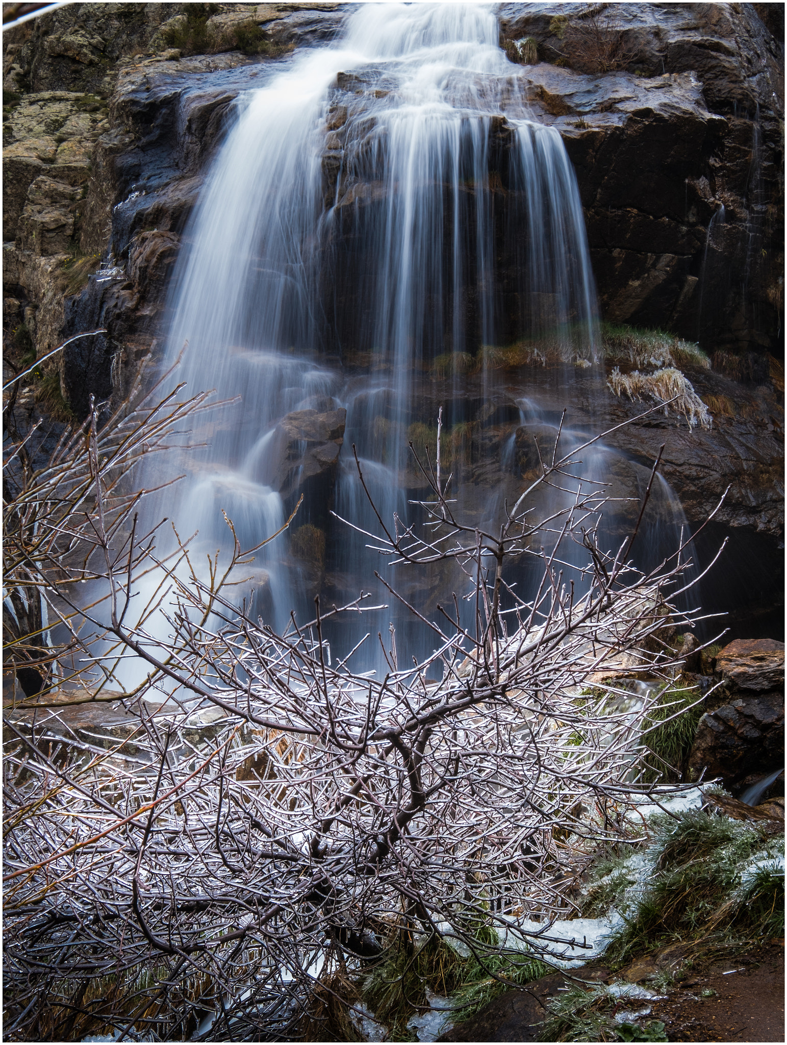 Fujifilm X-Pro2 + Fujifilm XF 10-24mm F4 R OIS sample photo. Tree and waterfall photography