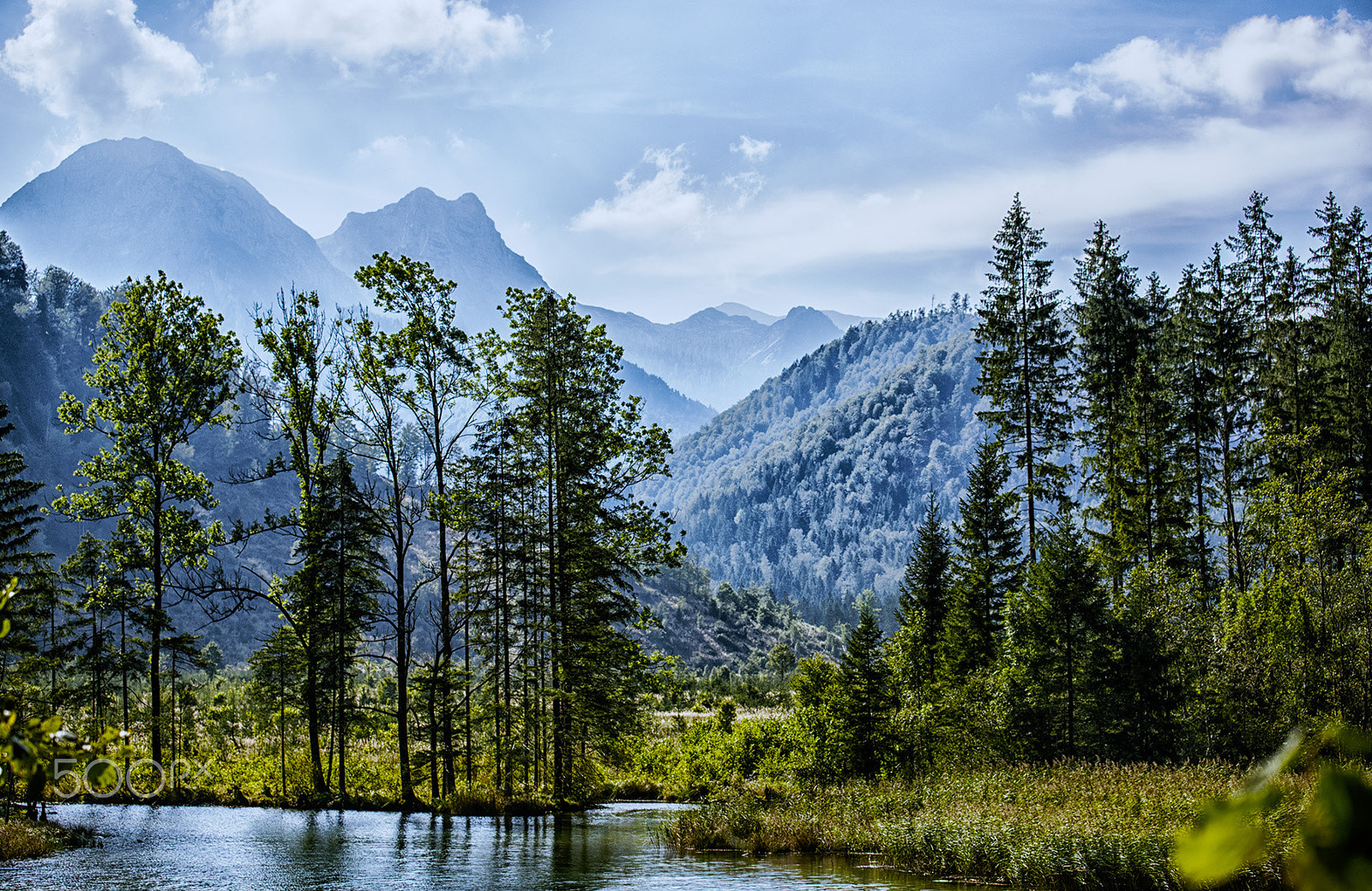 Nikon AF-S Nikkor 70-200mm F4G ED VR sample photo. Almsee photography