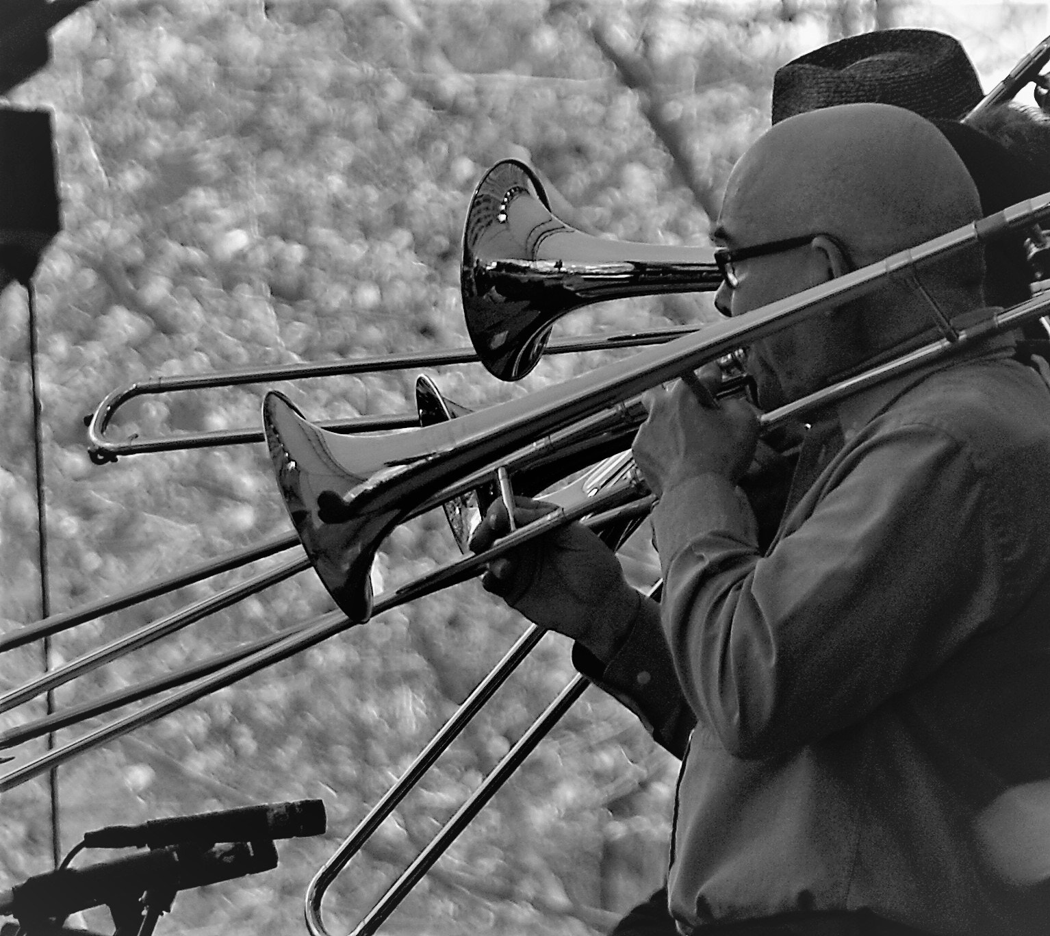 Sony DT 18-200mm F3.5-6.3 sample photo. Jazz series photography