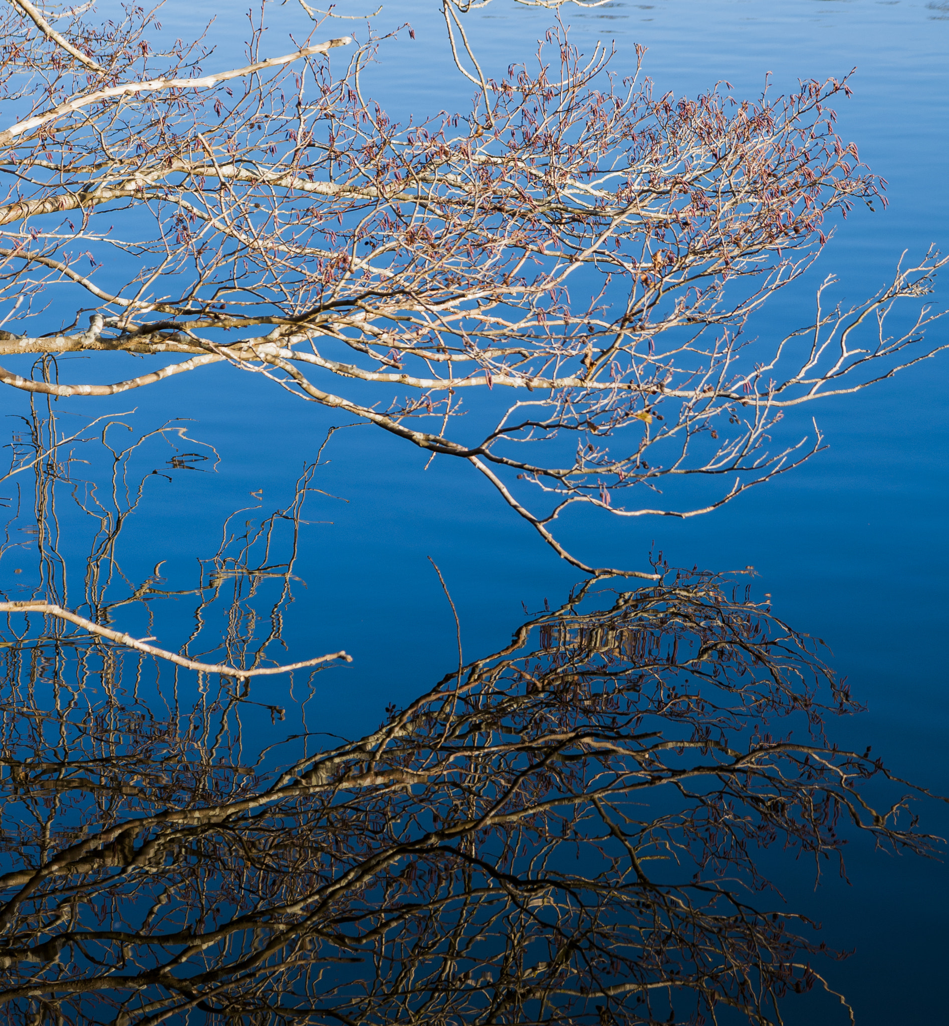 Nikon D90 + Sigma 17-70mm F2.8-4 DC Macro OS HSM sample photo. Reflectance in the water photography